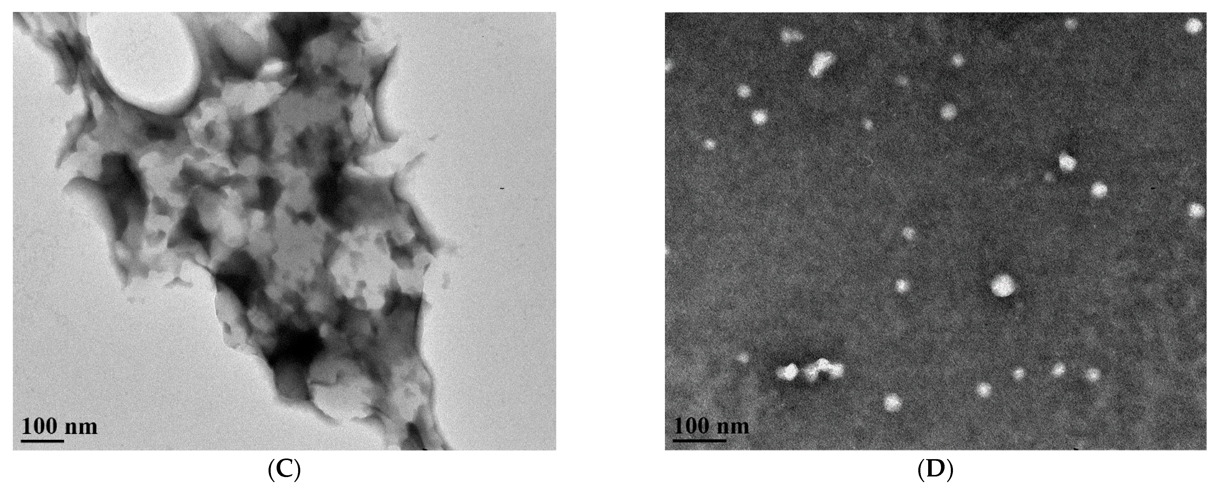Polymers 14 03436 g005b