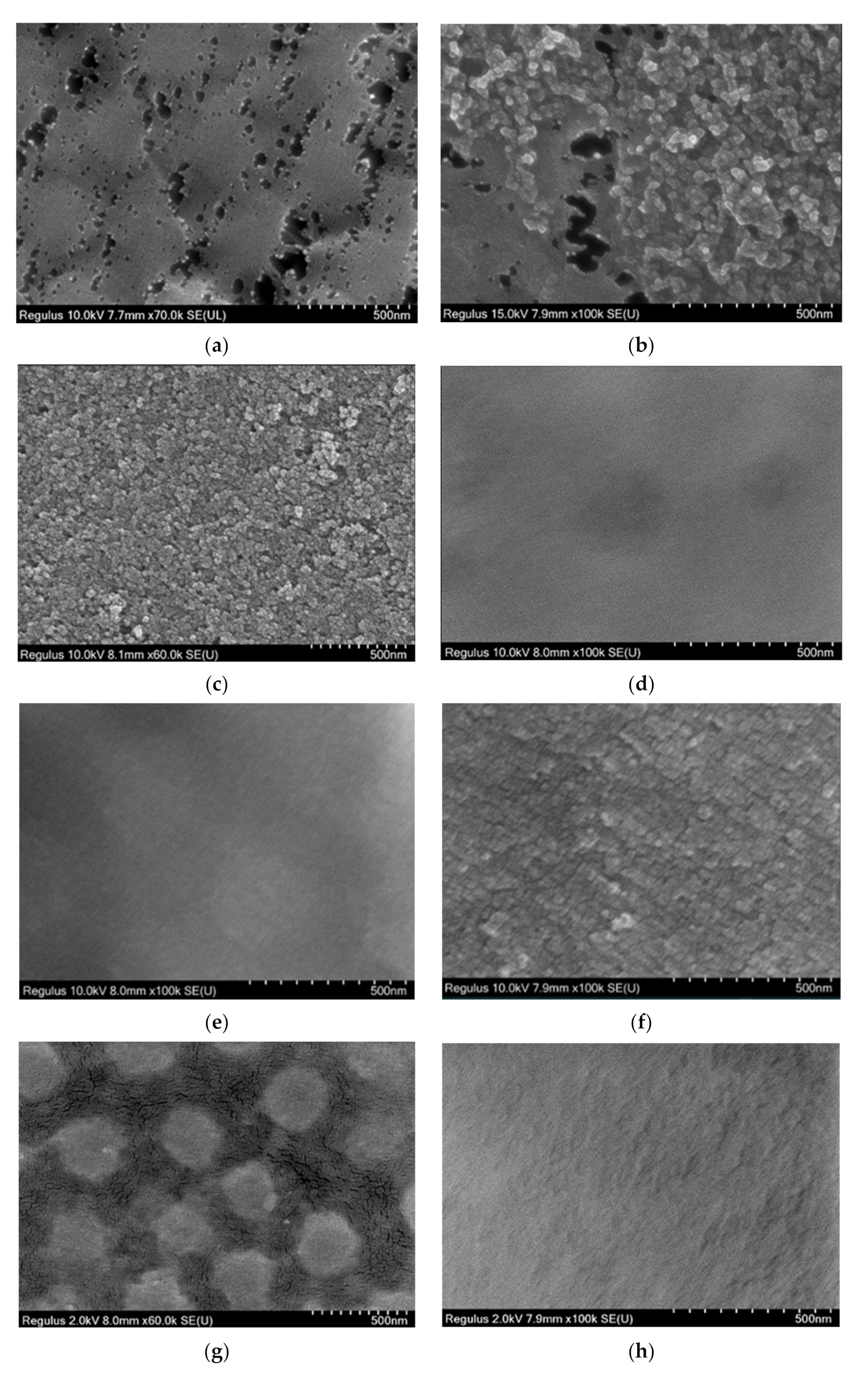 Polymers 14 03441 g008 550