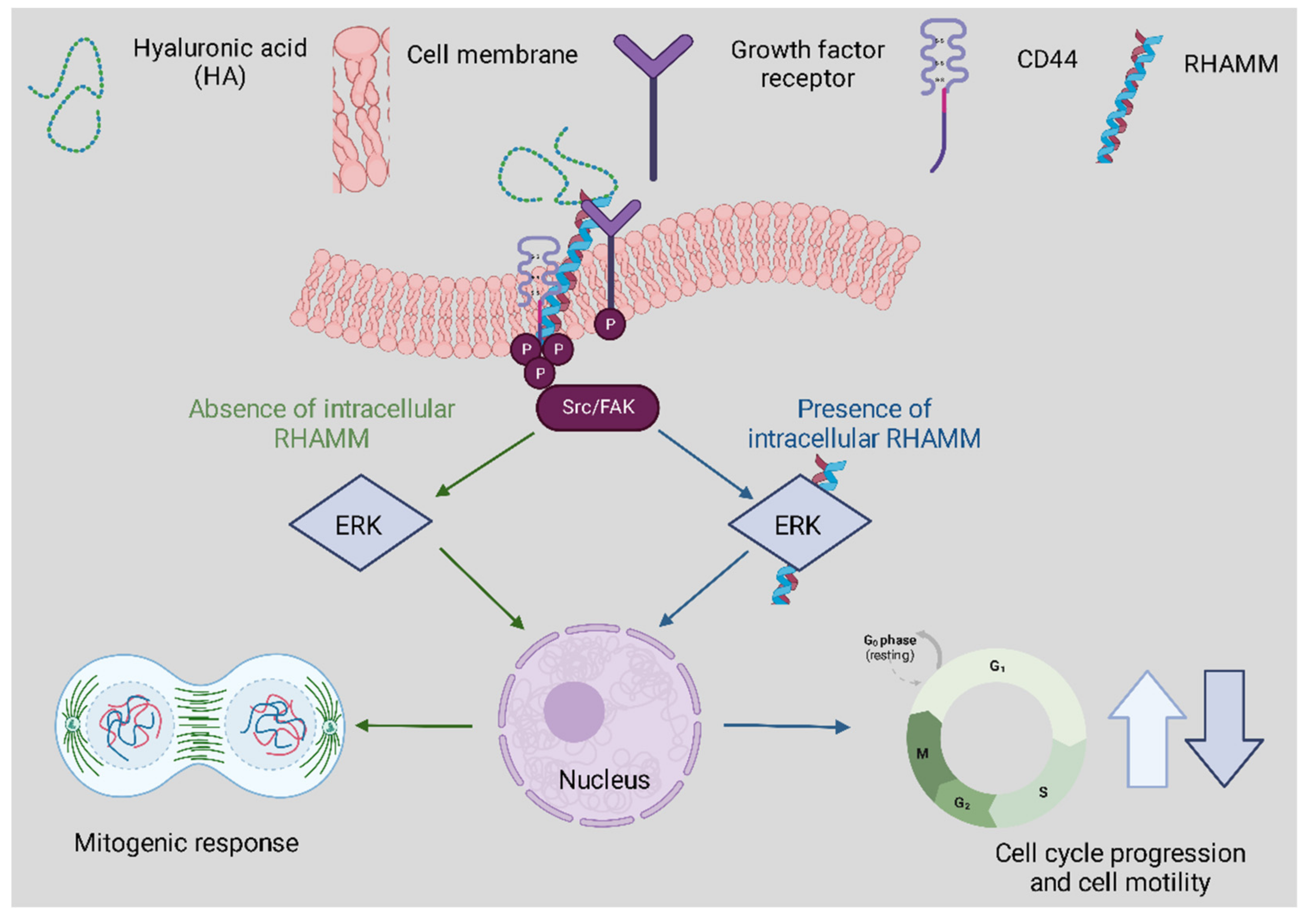 Polymers 14 03442 g003