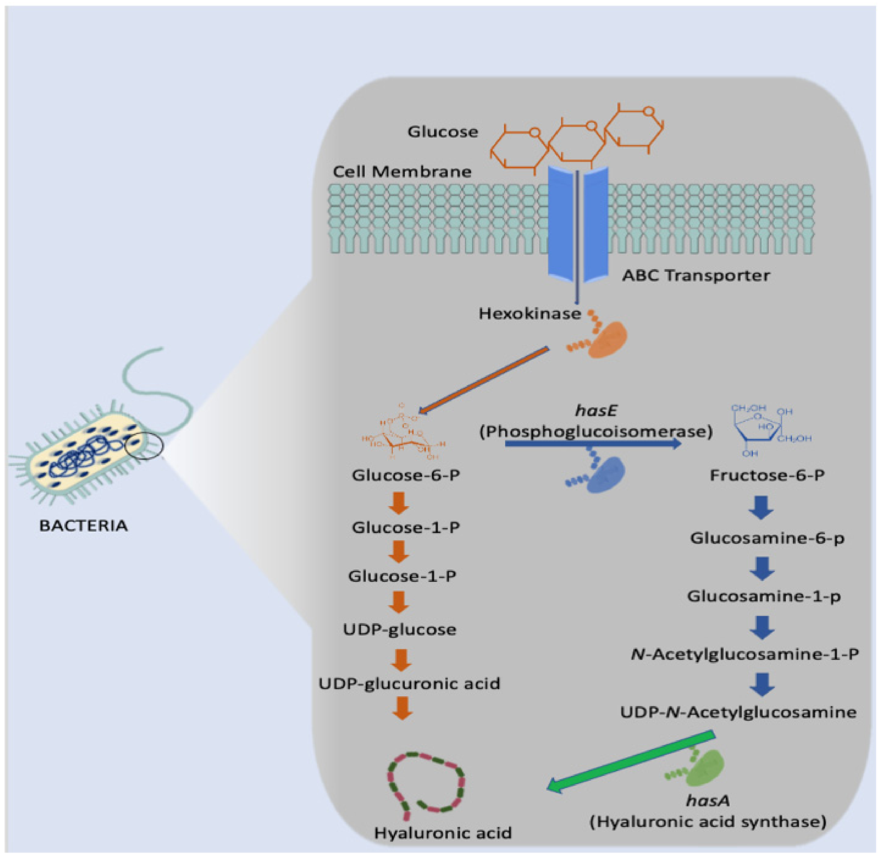 Polymers 14 03442 g004