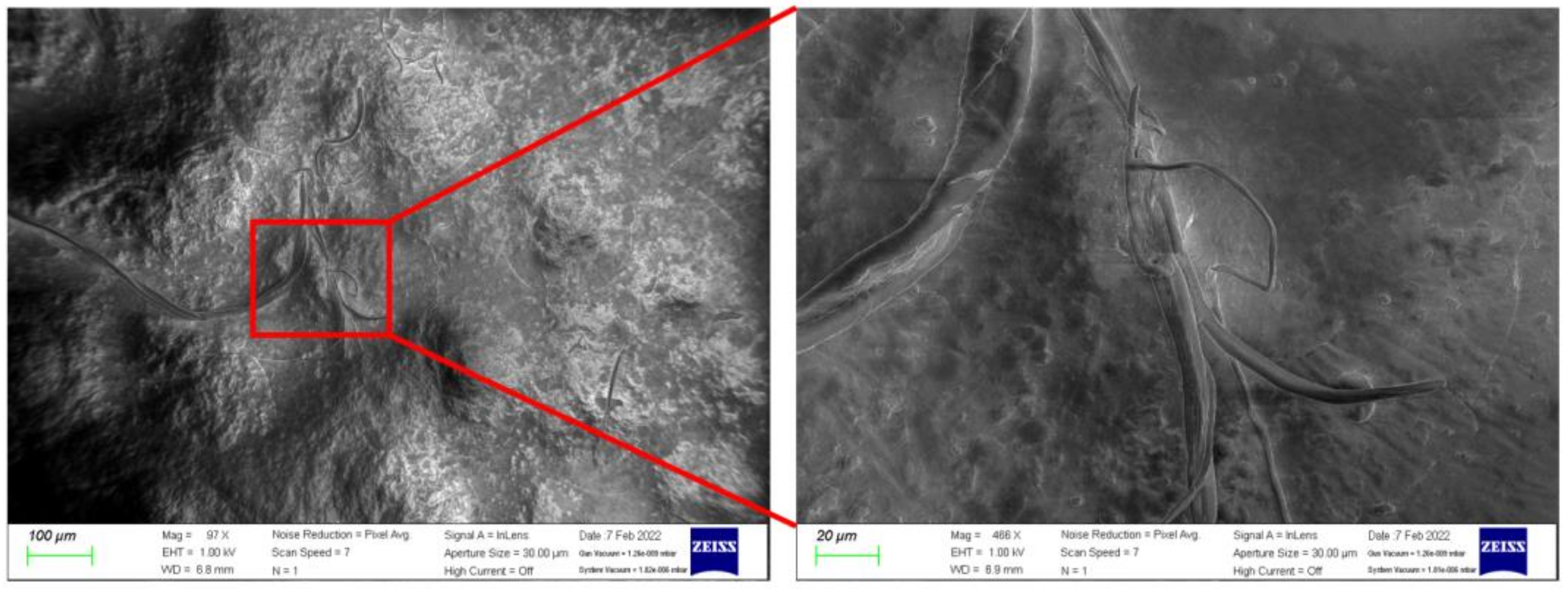 Polymers 14 03446 g013 550