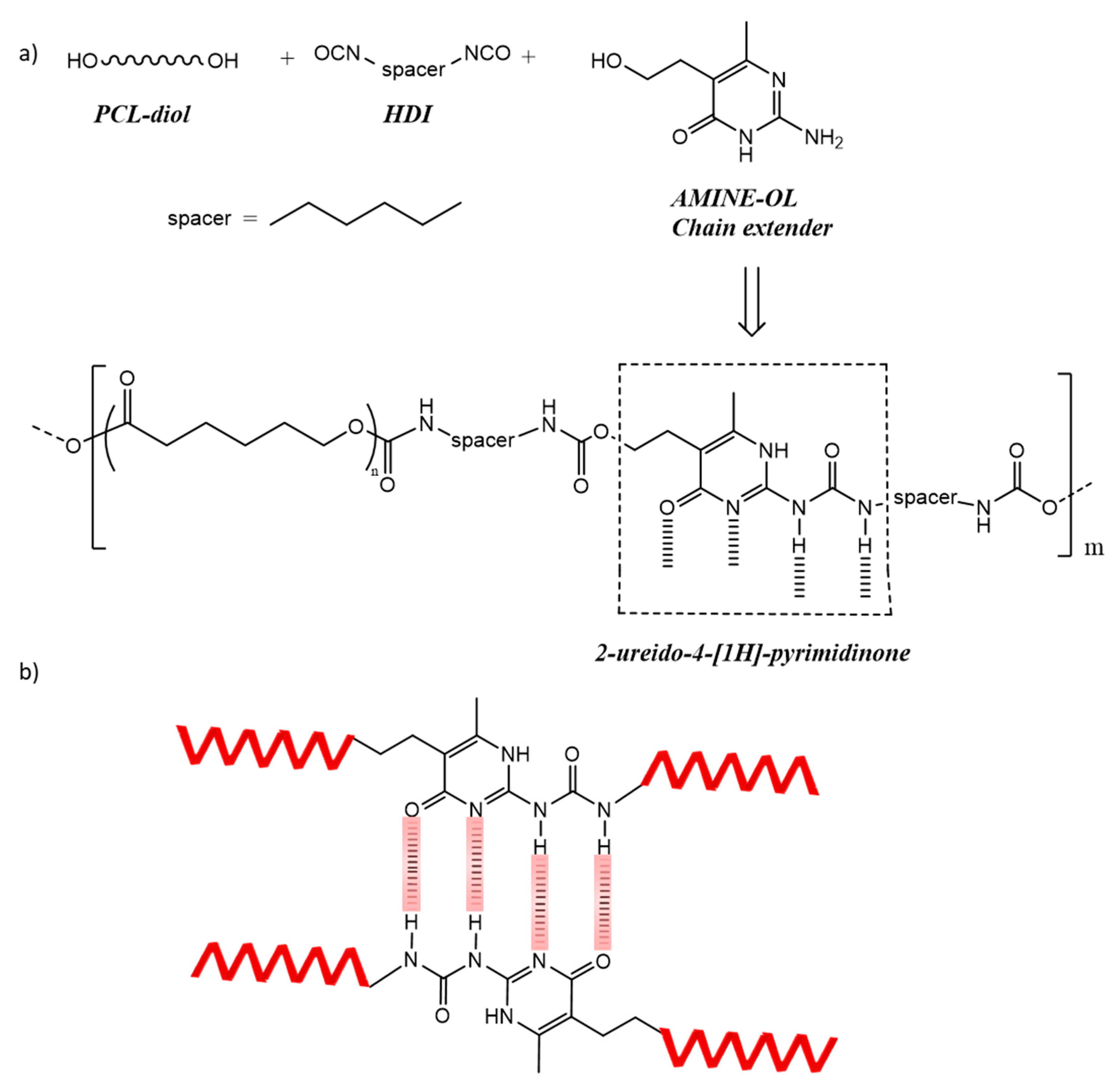Polymers 14 03447 g001