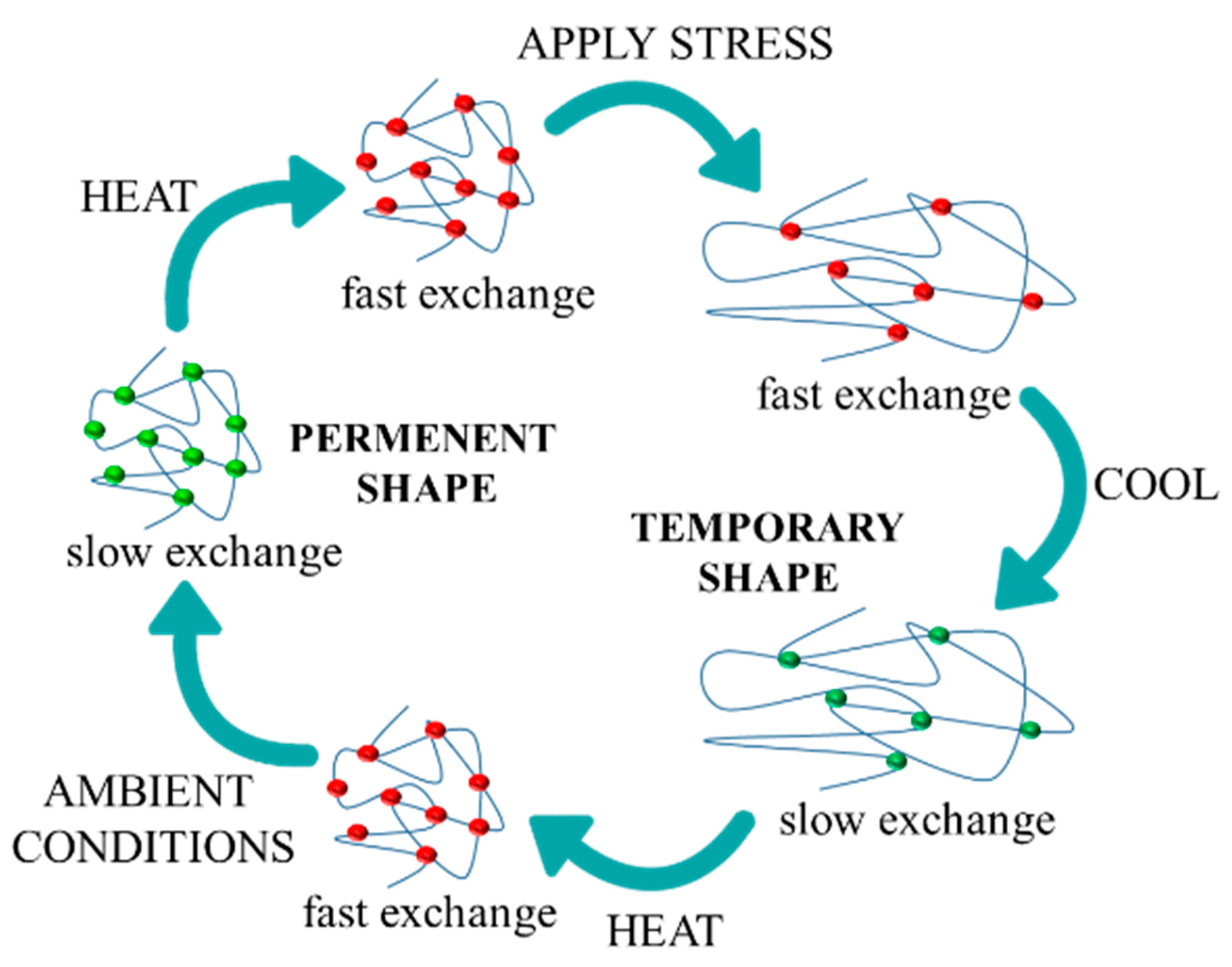 Polymers 14 03447 g006