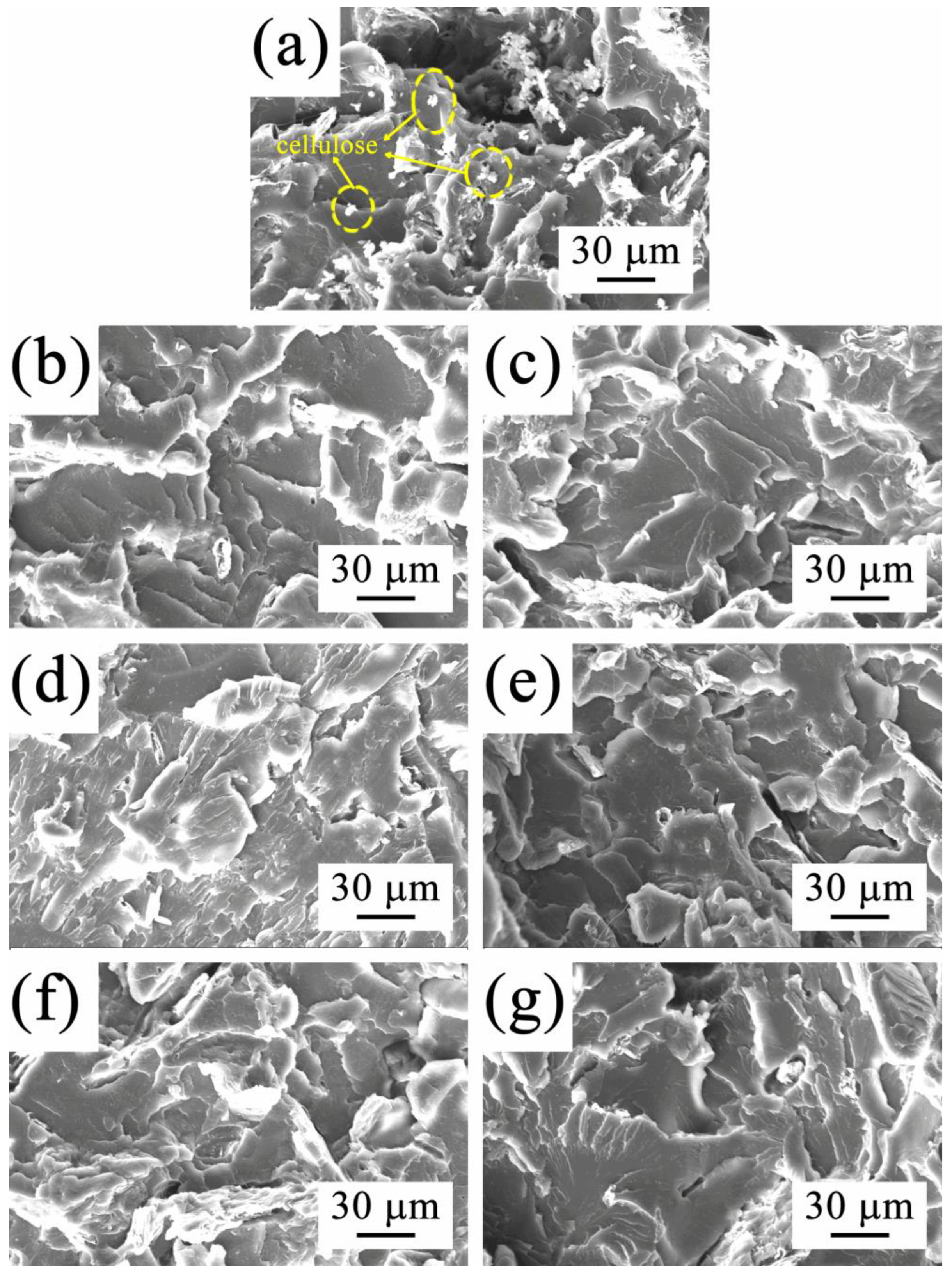Polymers 14 03449 g003