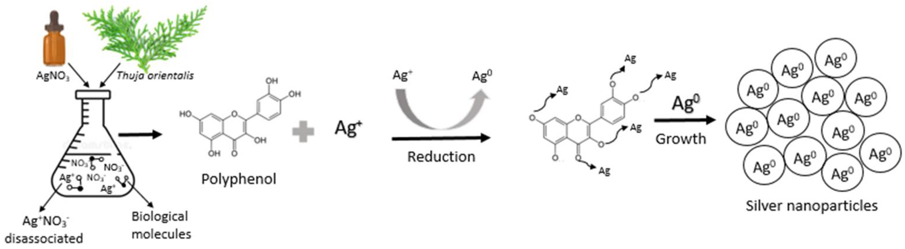 Polymers 14 03453 g002 Polymers 14 03453 g002