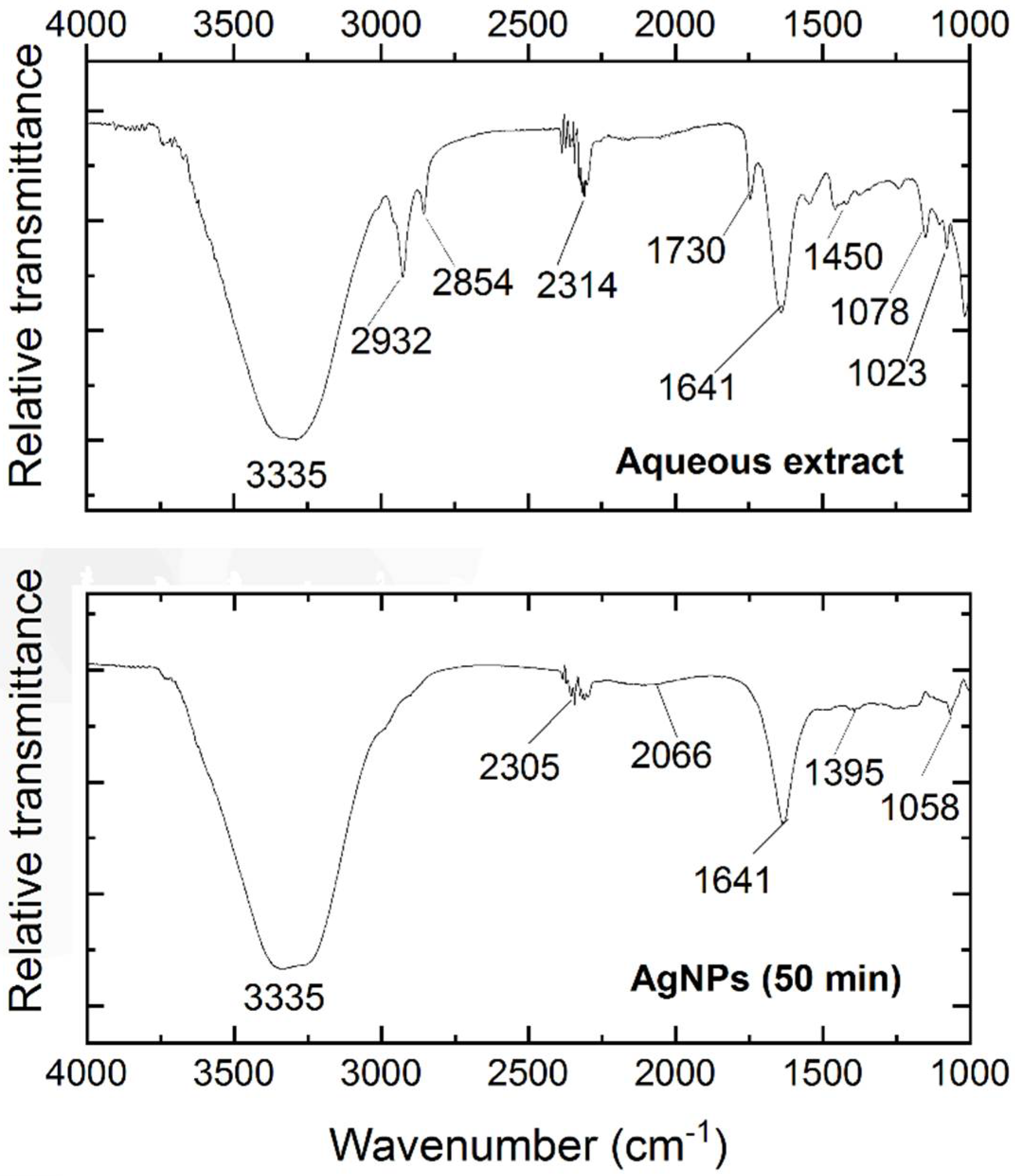 Polymers 14 03453 g004 Polymers 14 03453 g004