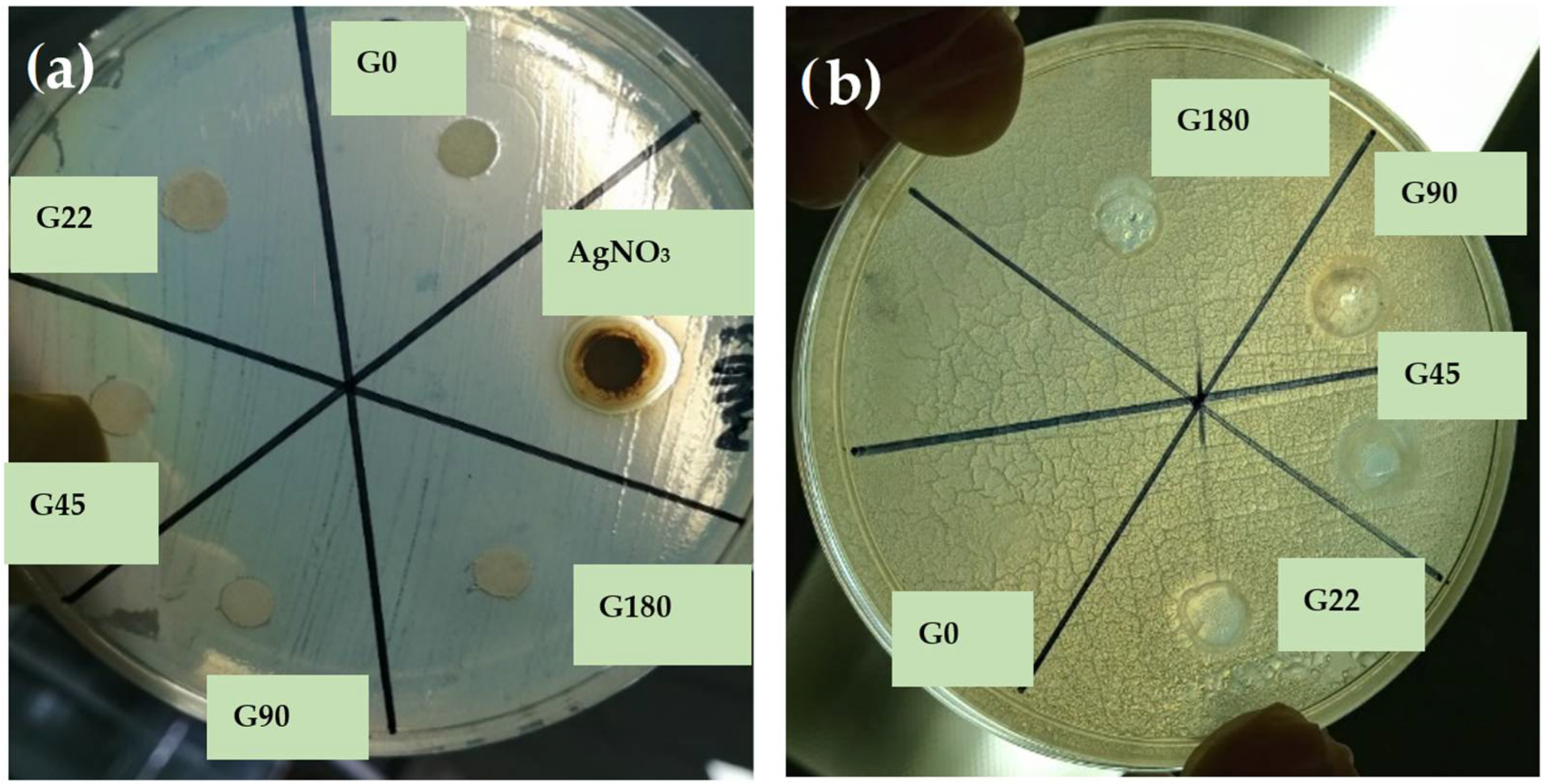 Polymers 14 03453 g008 Polymers 14 03453 g008