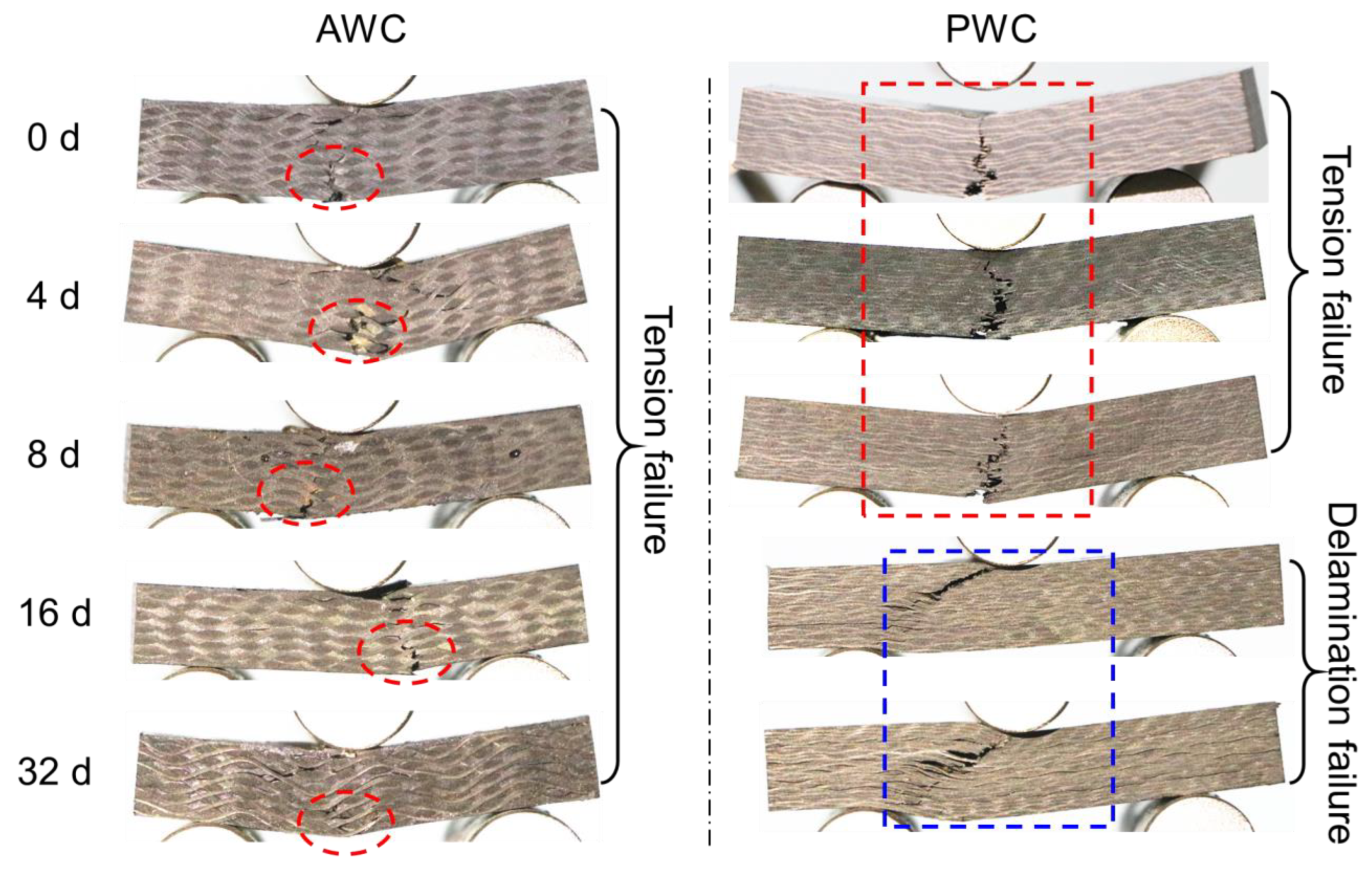 Polymers 14 03454 g017 550