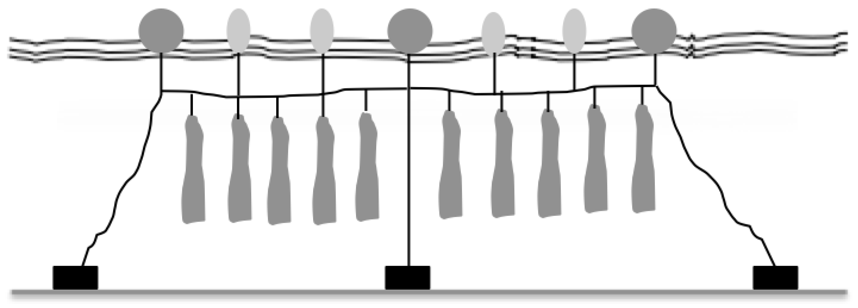 Polymers 14 03469 g001 550