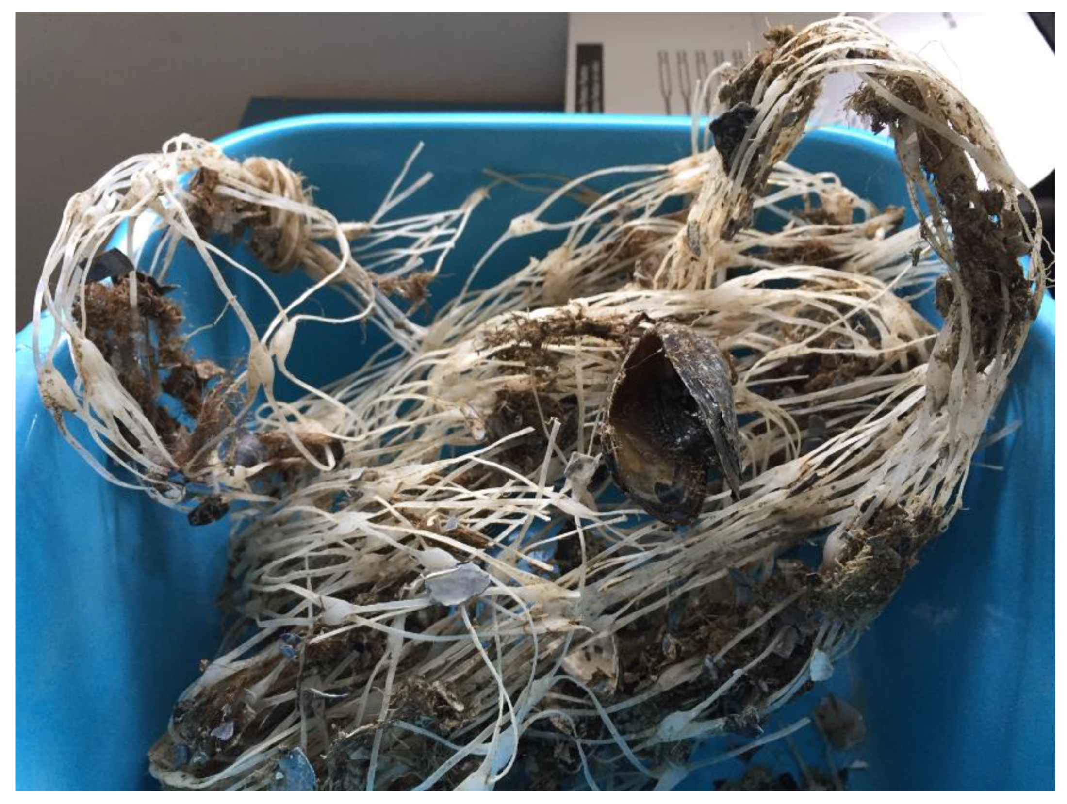 Polymers 14 03469 g002 550