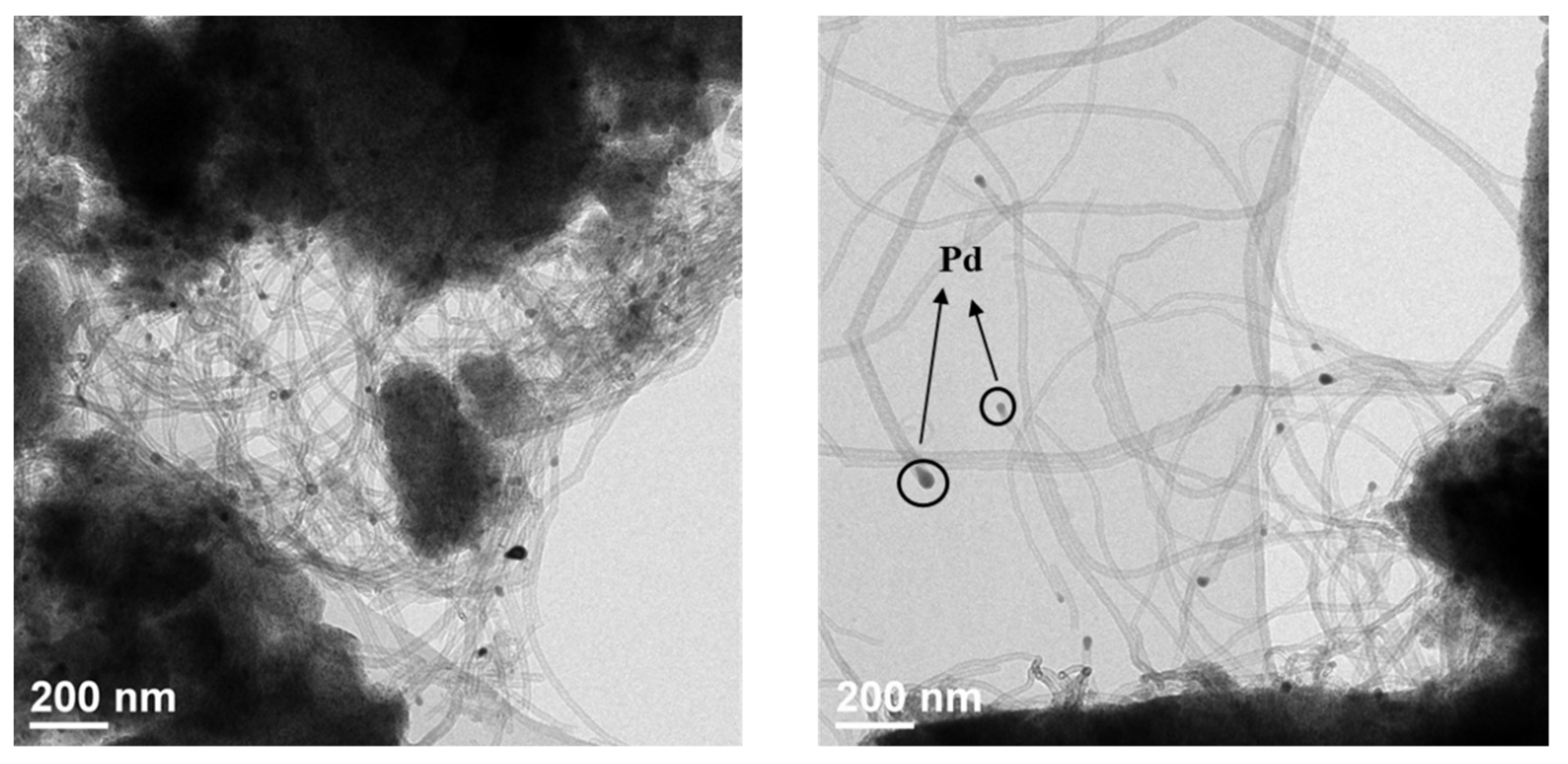 Polymers 14 03470 g011 550
