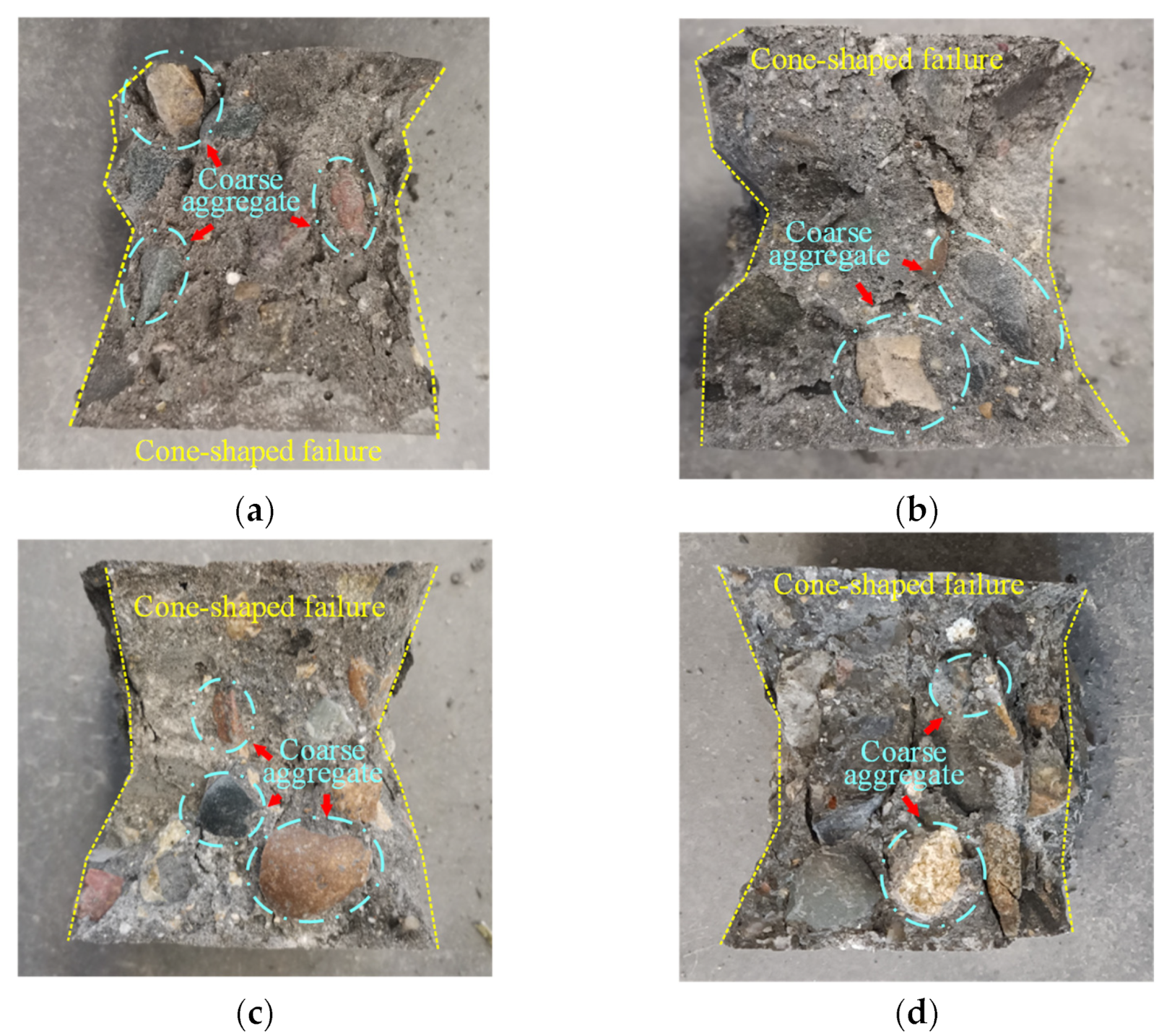 Polymers 14 03472 g007