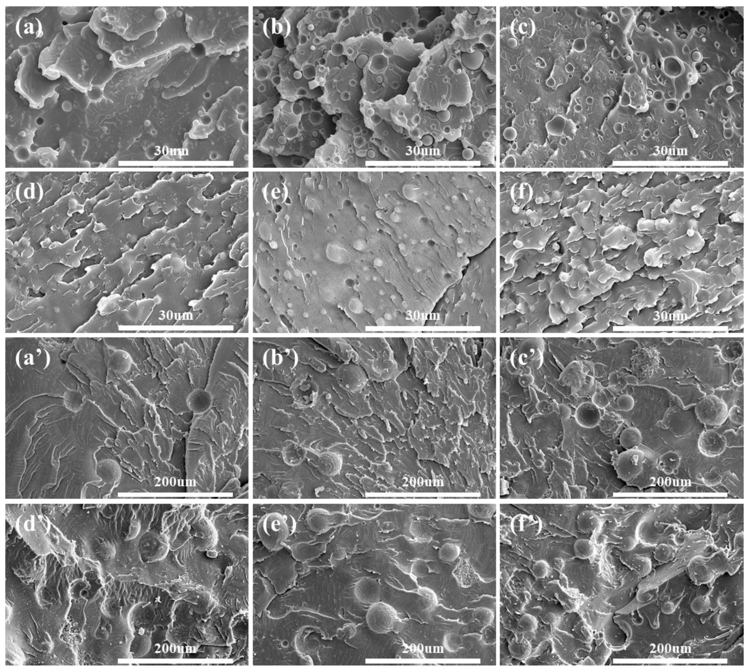 Polymers 14 03477 g002