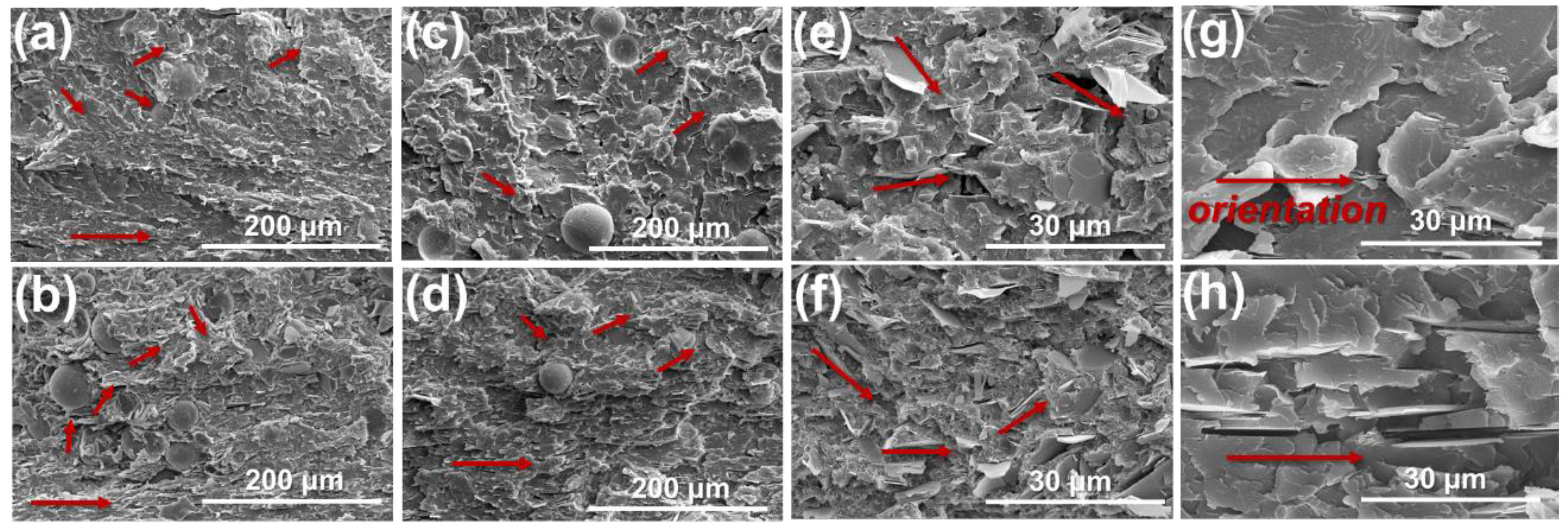 Polymers 14 03477 g005