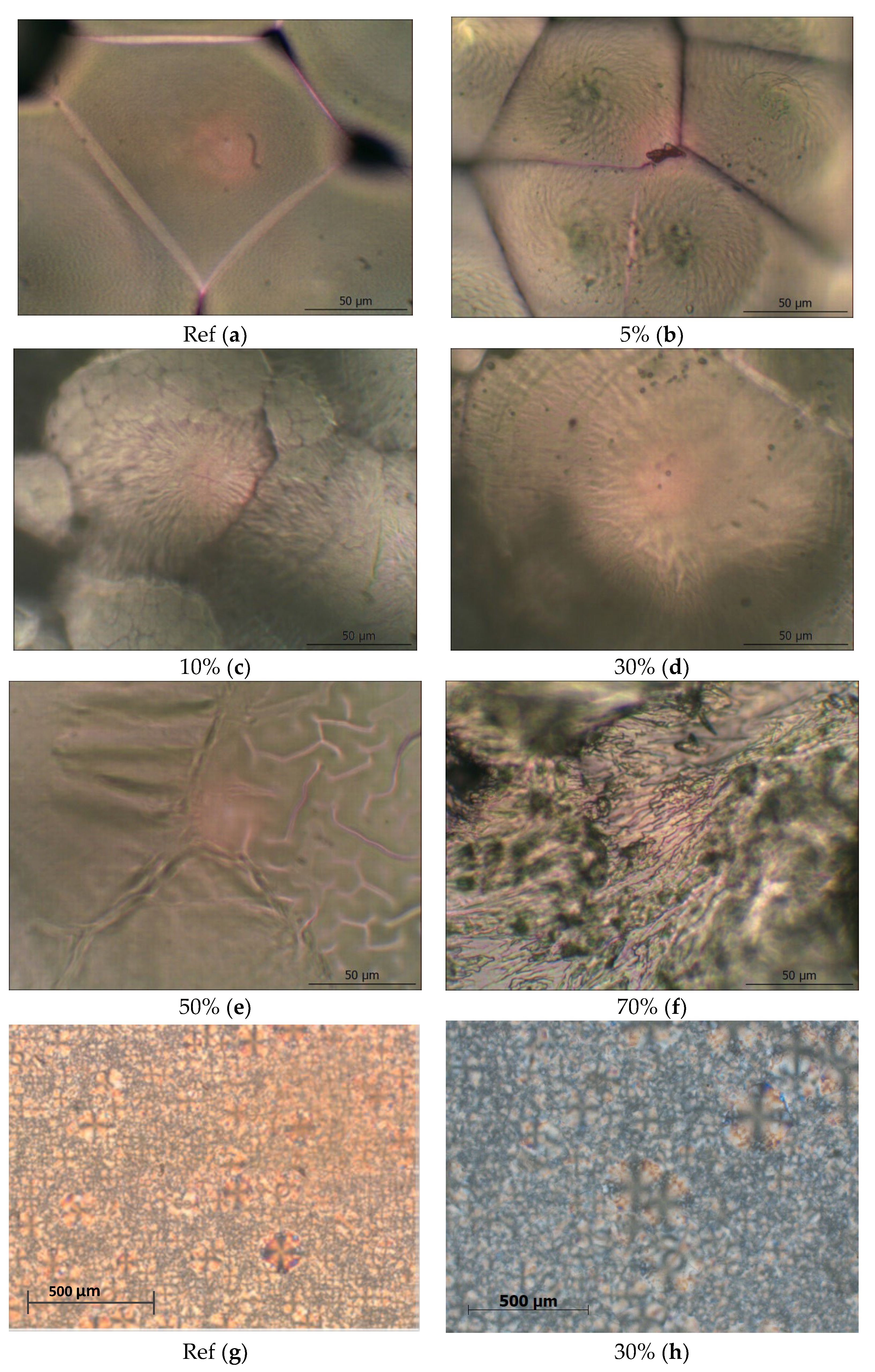 Polymers 14 03478 g002 550