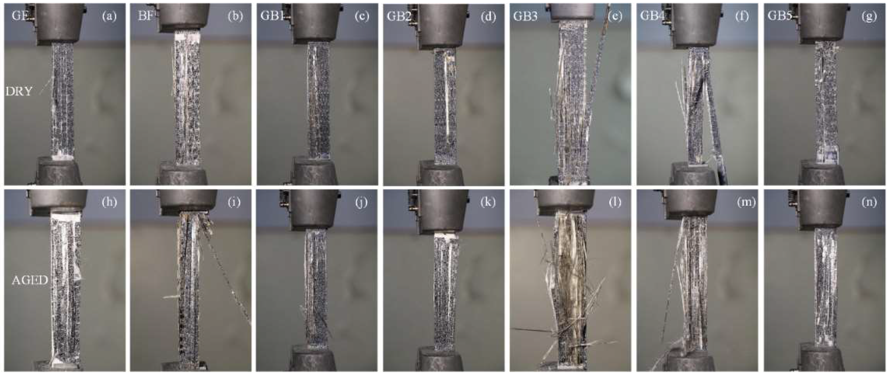 Polymers 14 03480 g008 550