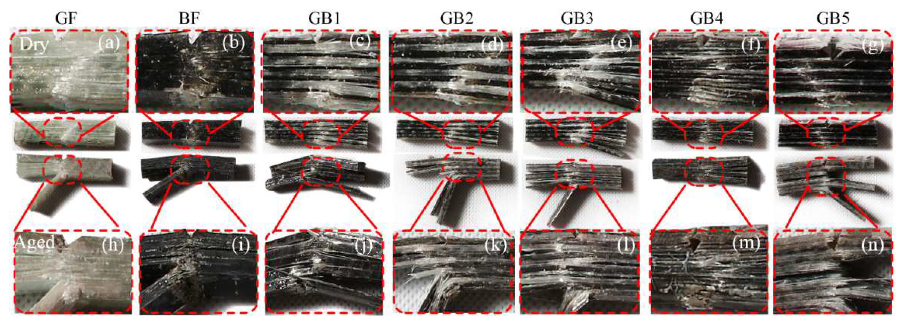 Polymers 14 03480 g012 550