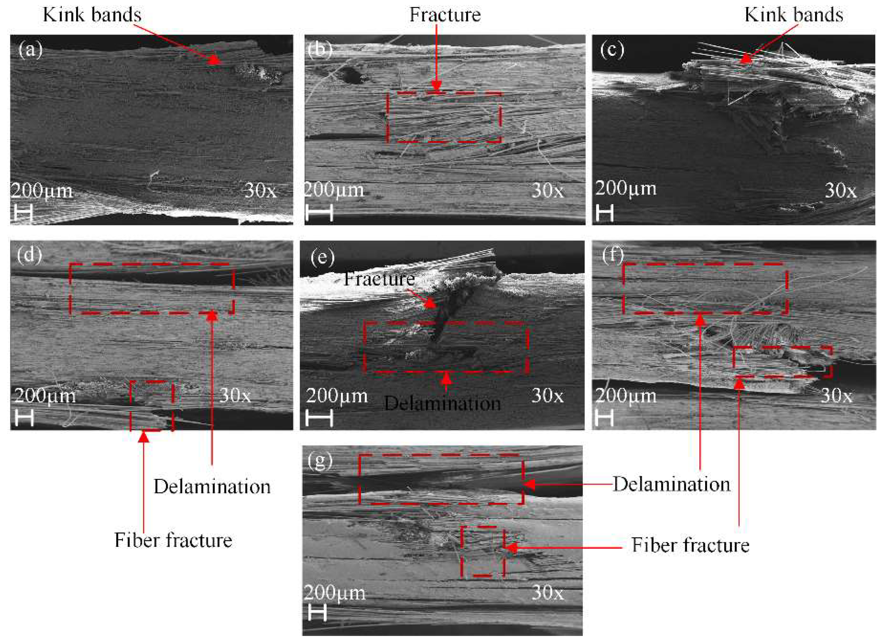 Polymers 14 03480 g018 550
