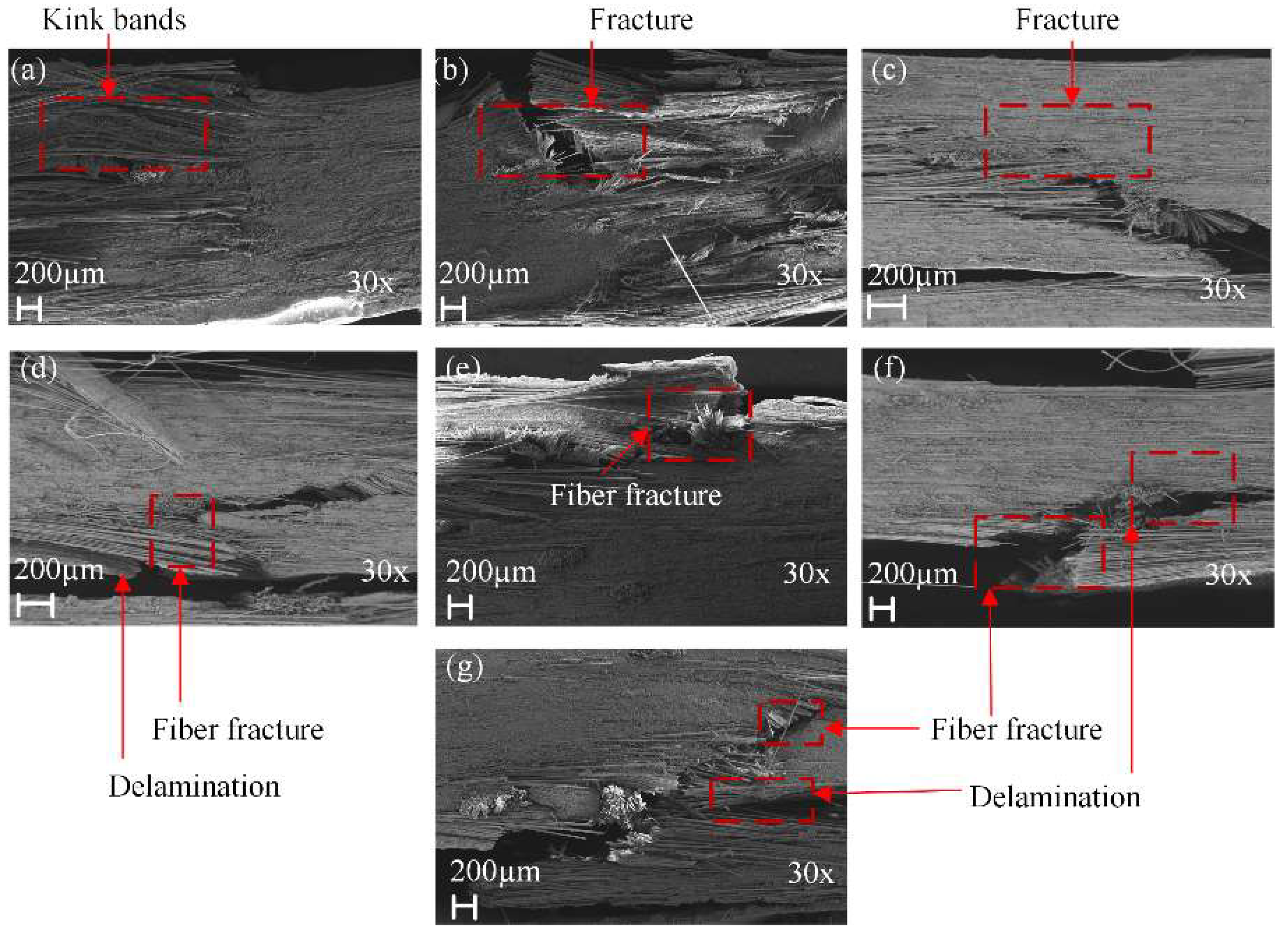 Polymers 14 03480 g019 550