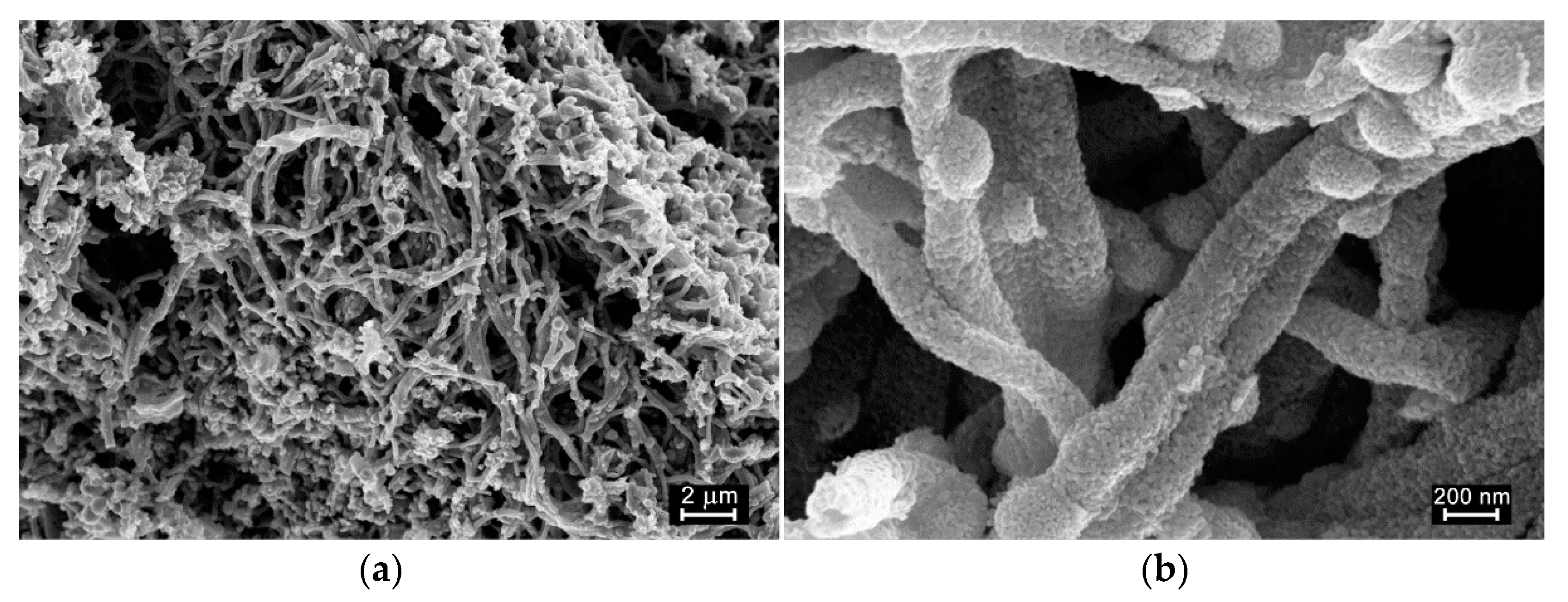 Polymers 14 03481 g001