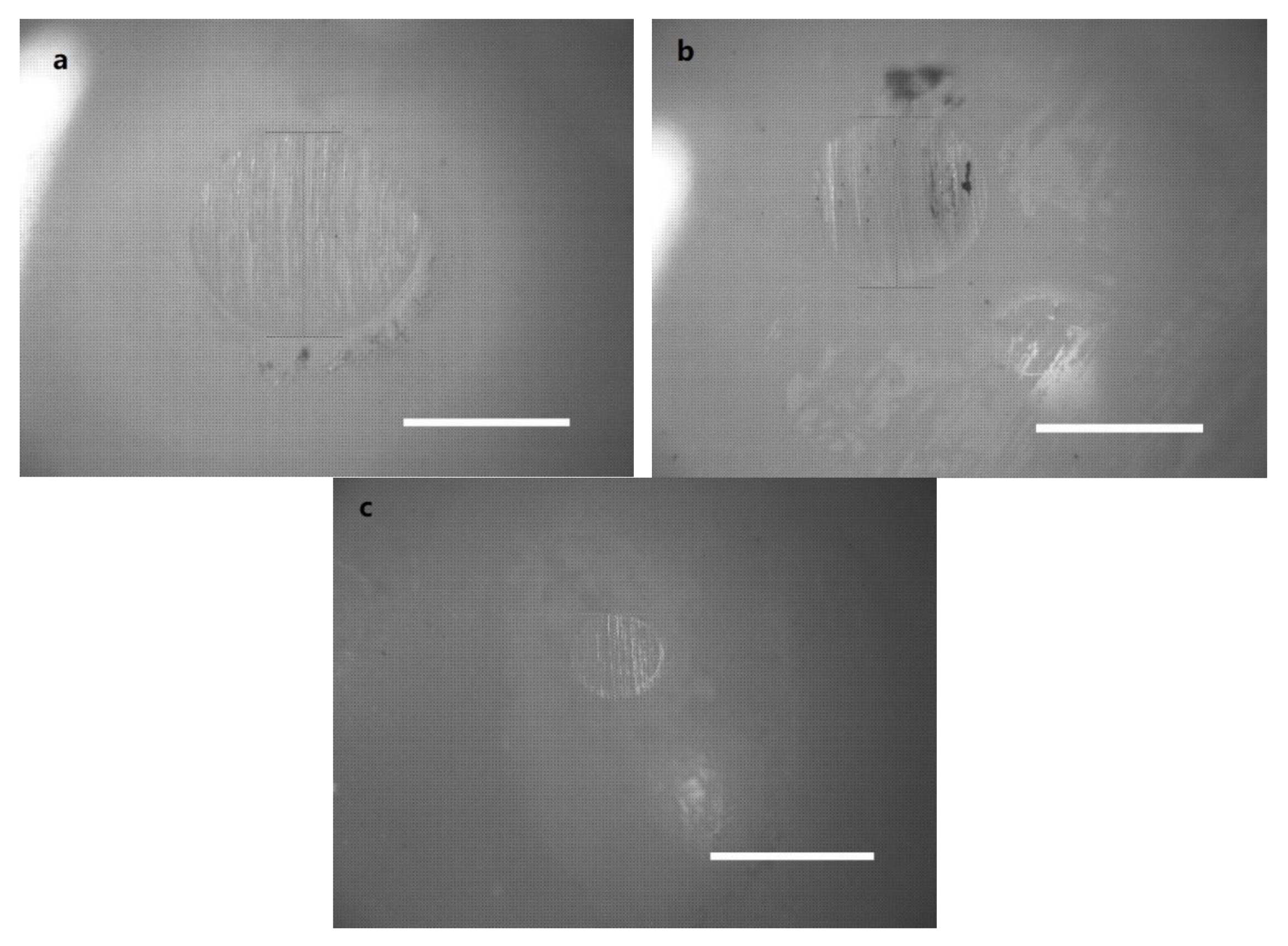 Polymers 14 03485 g004 550