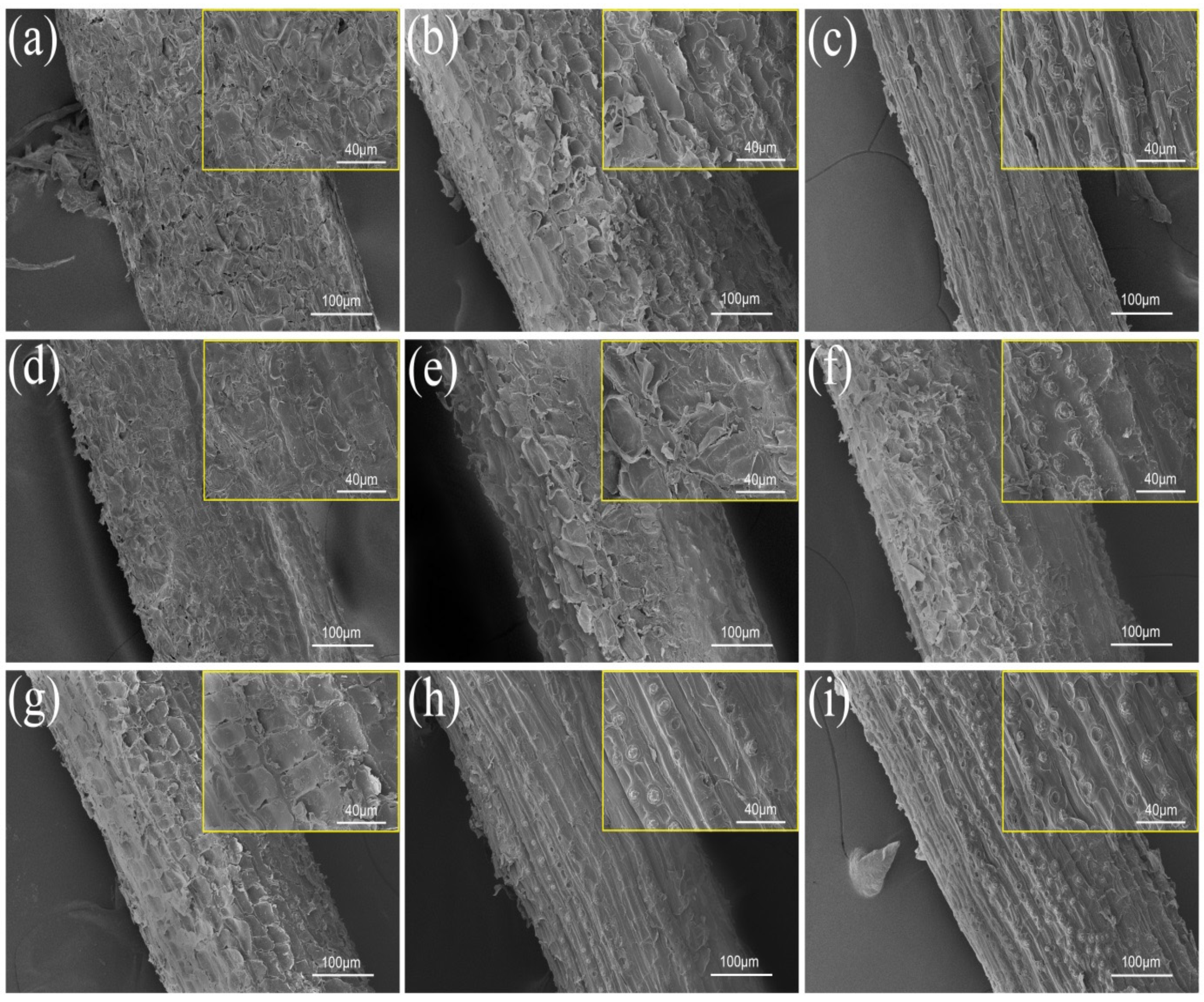 Polymers 14 03488 g004 550
