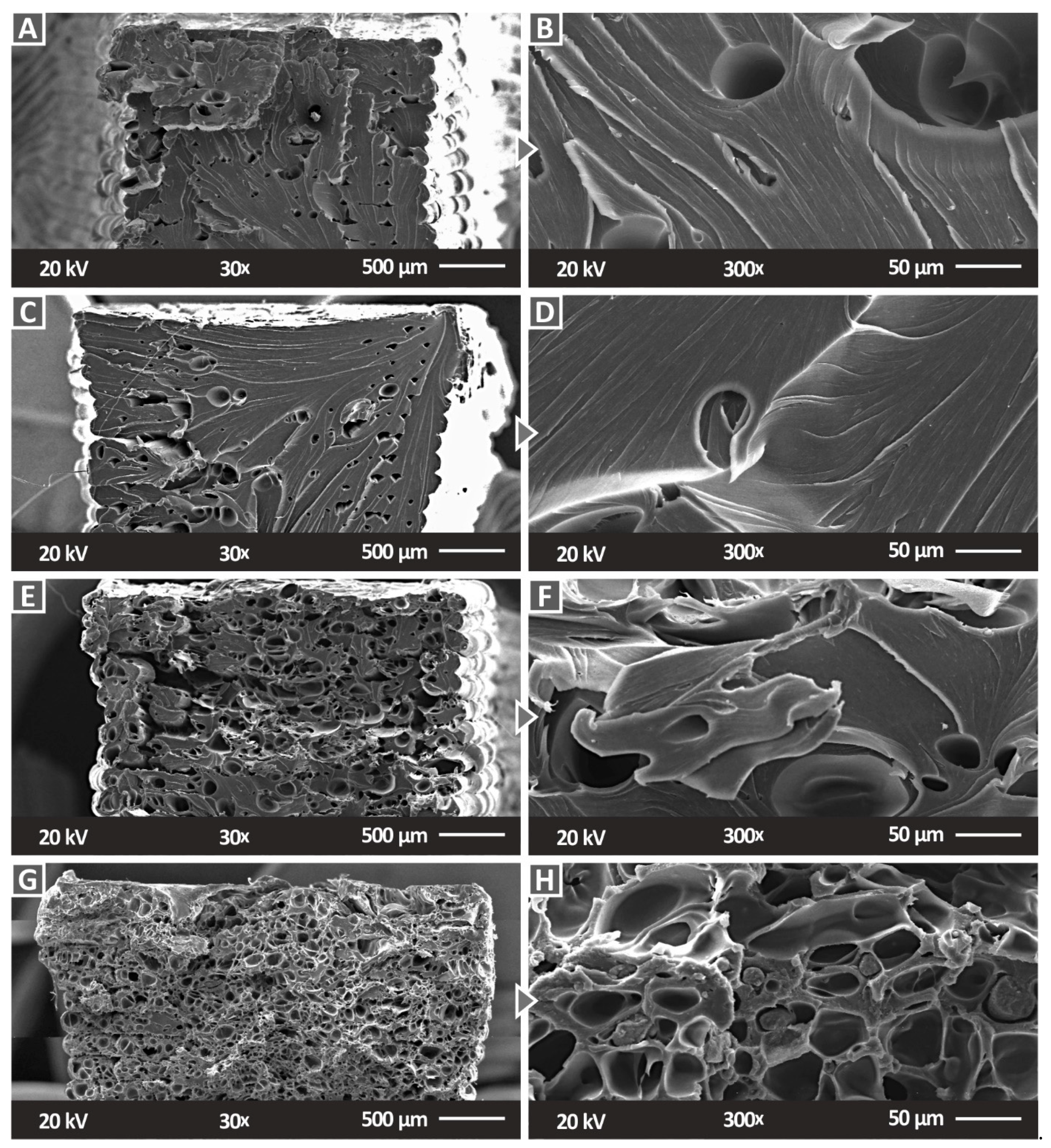 Polymers 14 03492 g011
