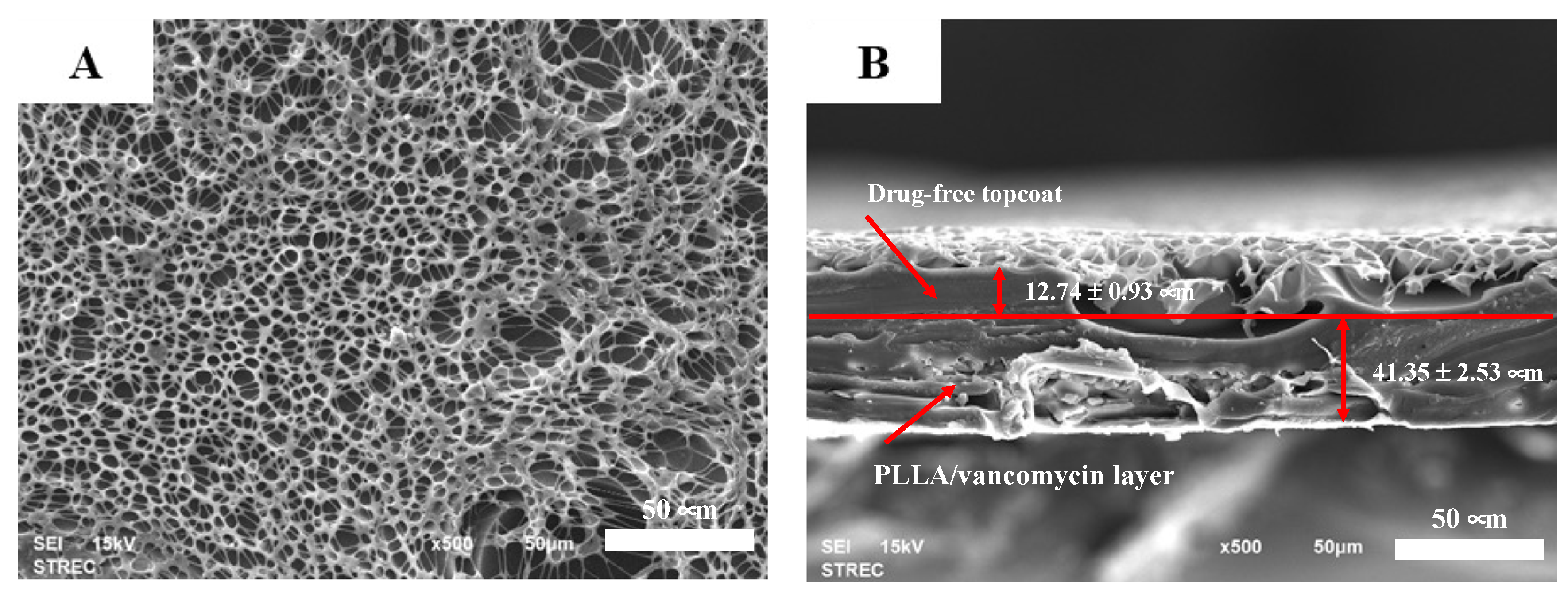 Polymers 14 03493 g002 550