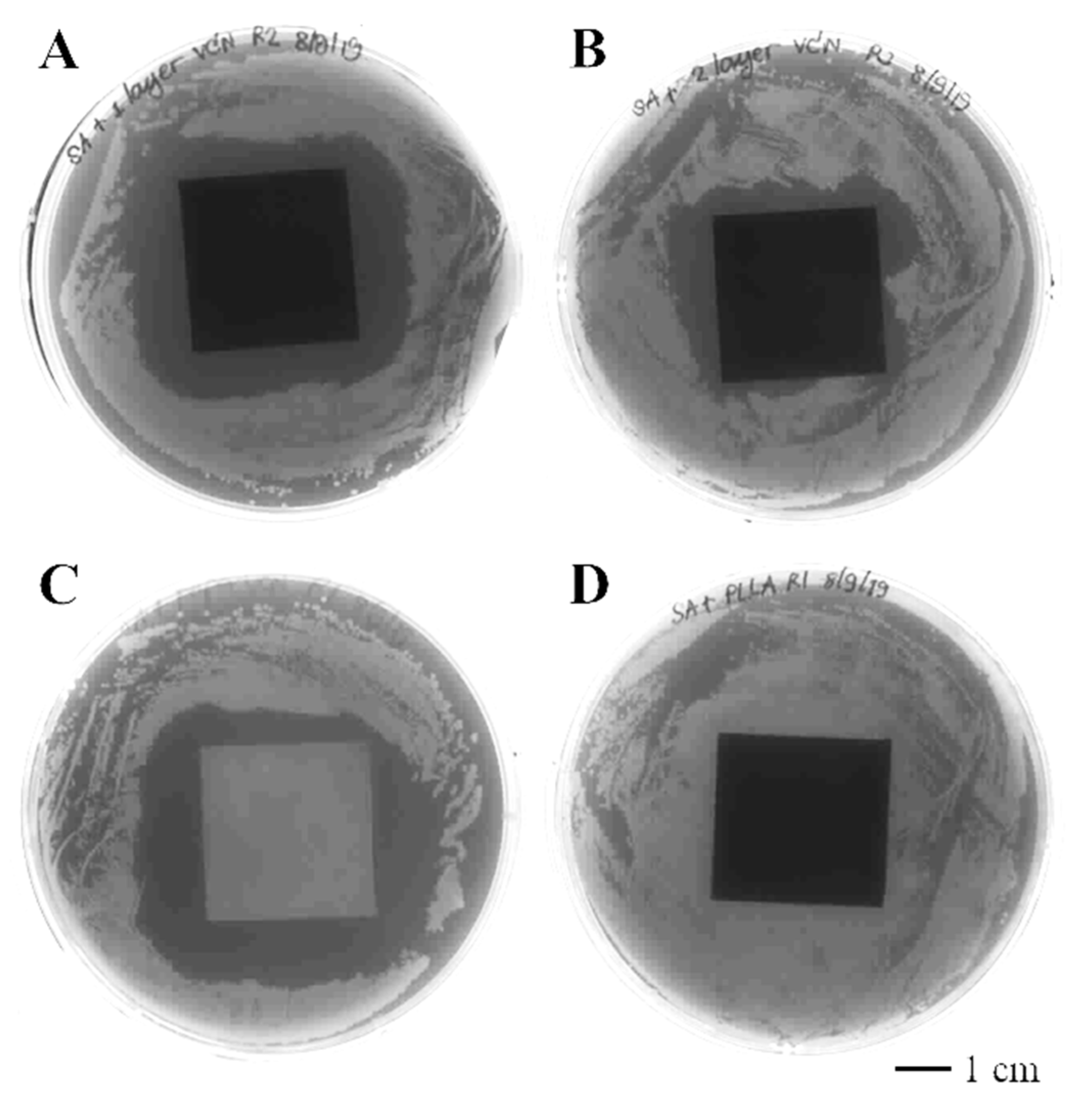 Polymers 14 03493 g006 550