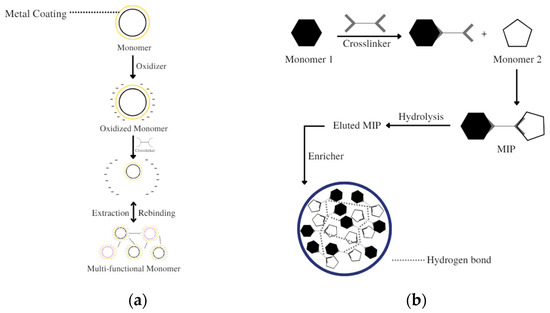 Dual-Functional Monomer MIPs and Their Comparison to Mono