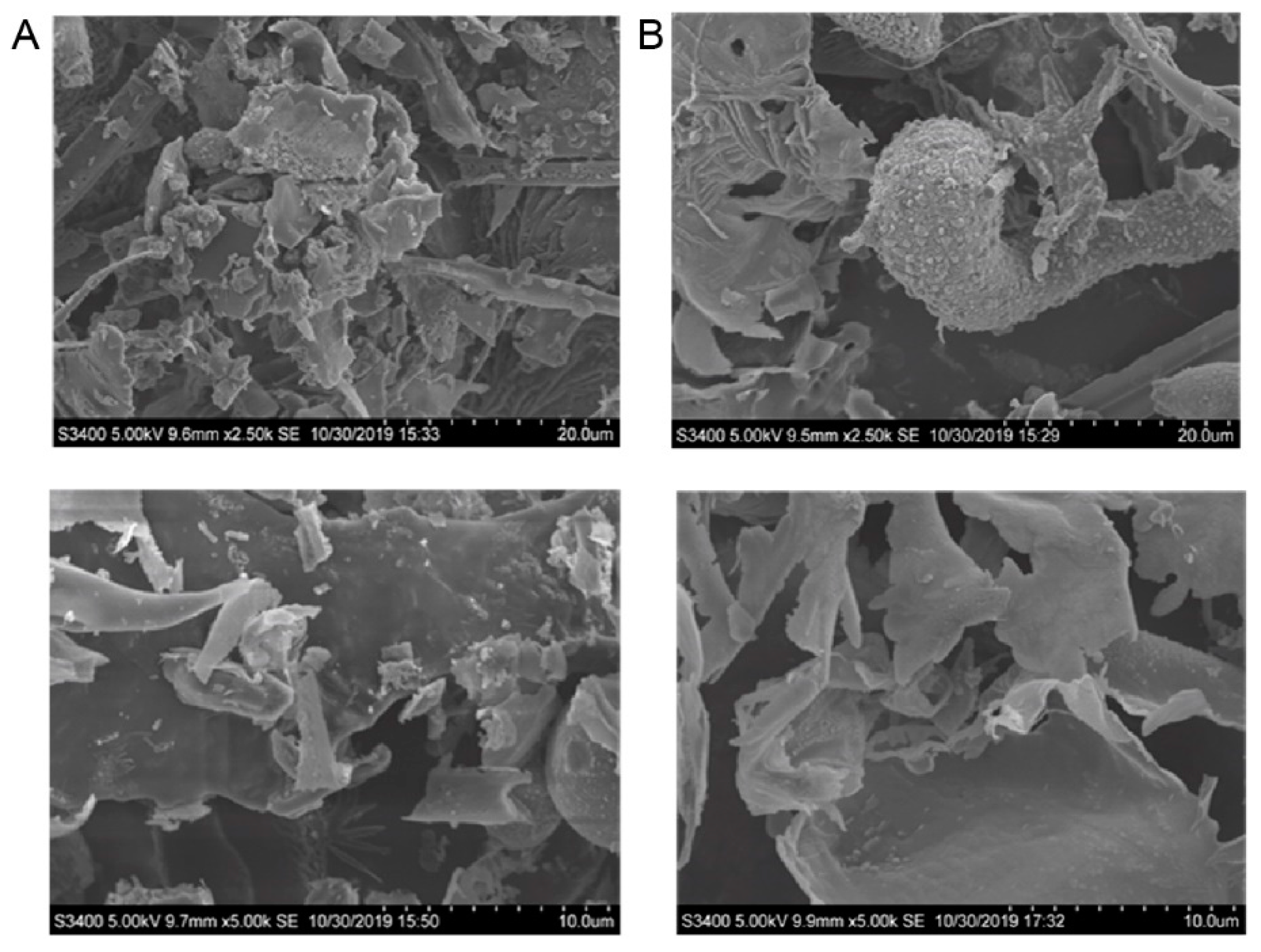 Polymers 14 03510 g007