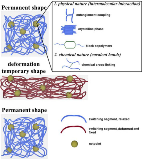 Review of chemo‐responsive shape change/memory polymers