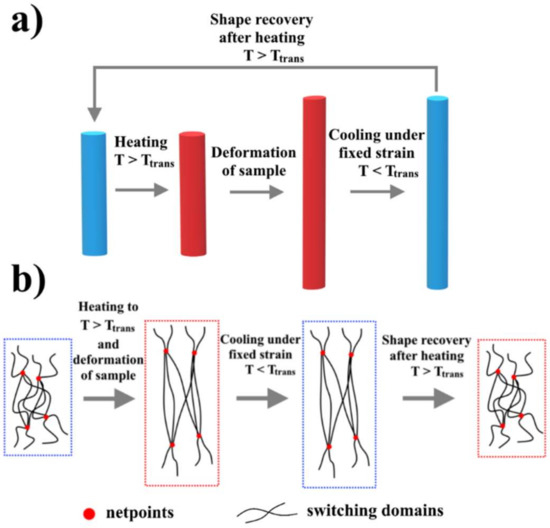 Polymers Free FullText Shape Memory Polymers as Smart Materials A