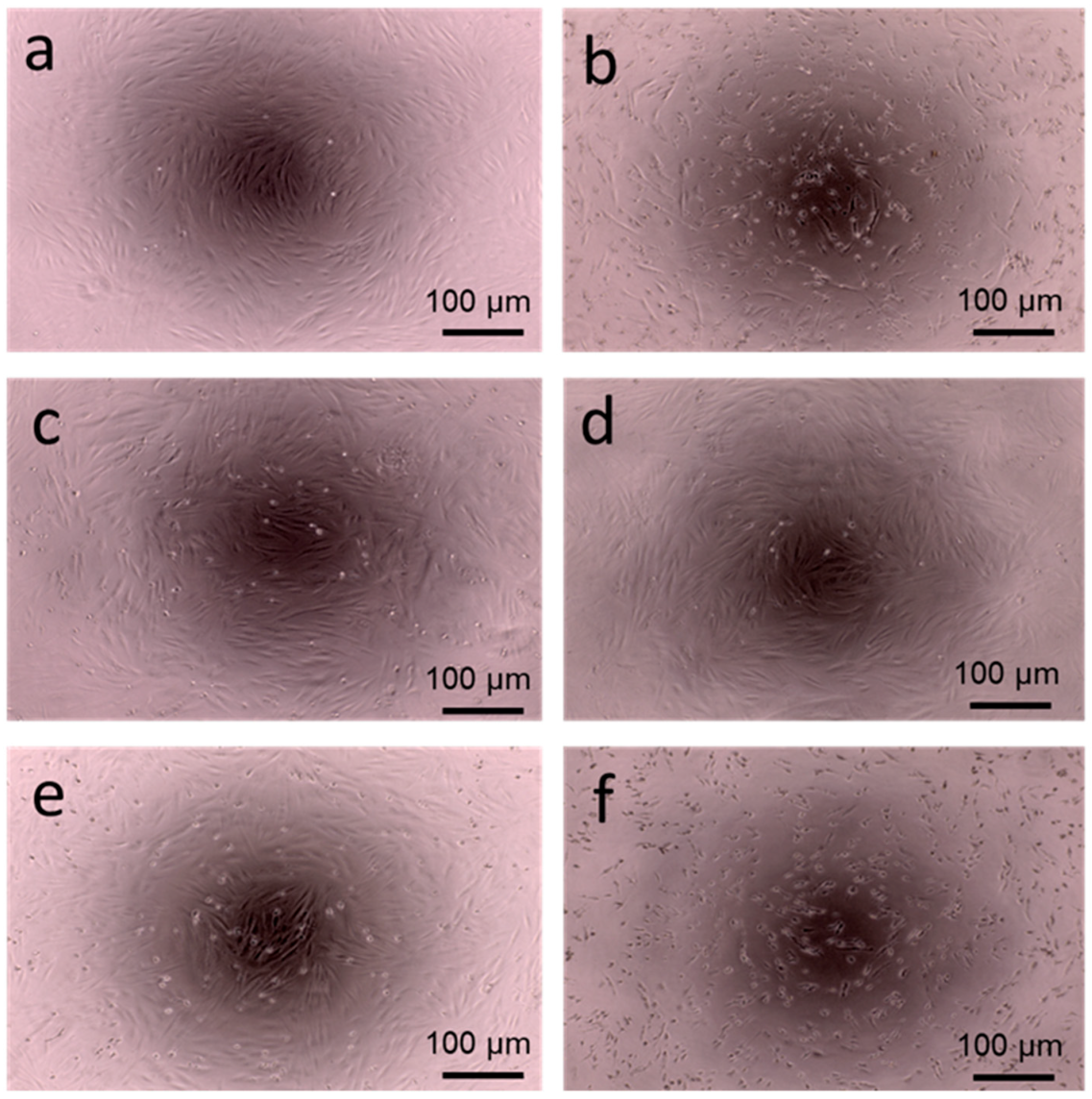 Polymers 14 03513 g005