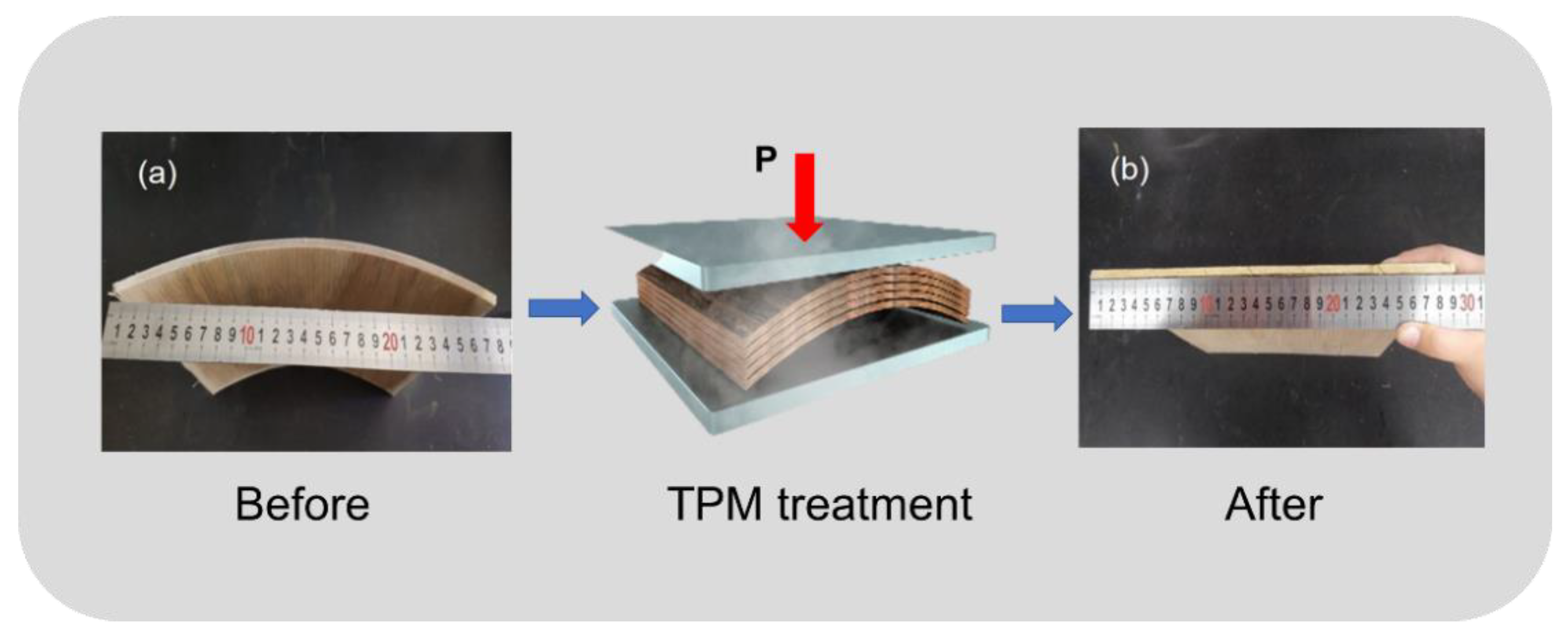Polymers 14 03516 g001