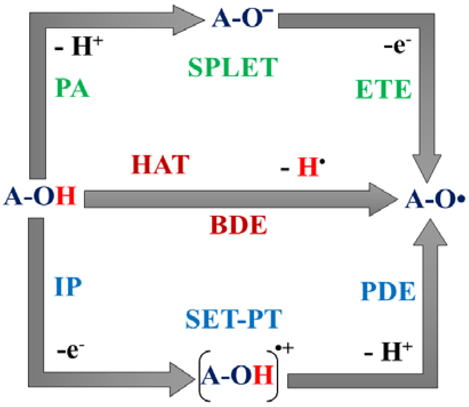 Polymers 14 03518 g002