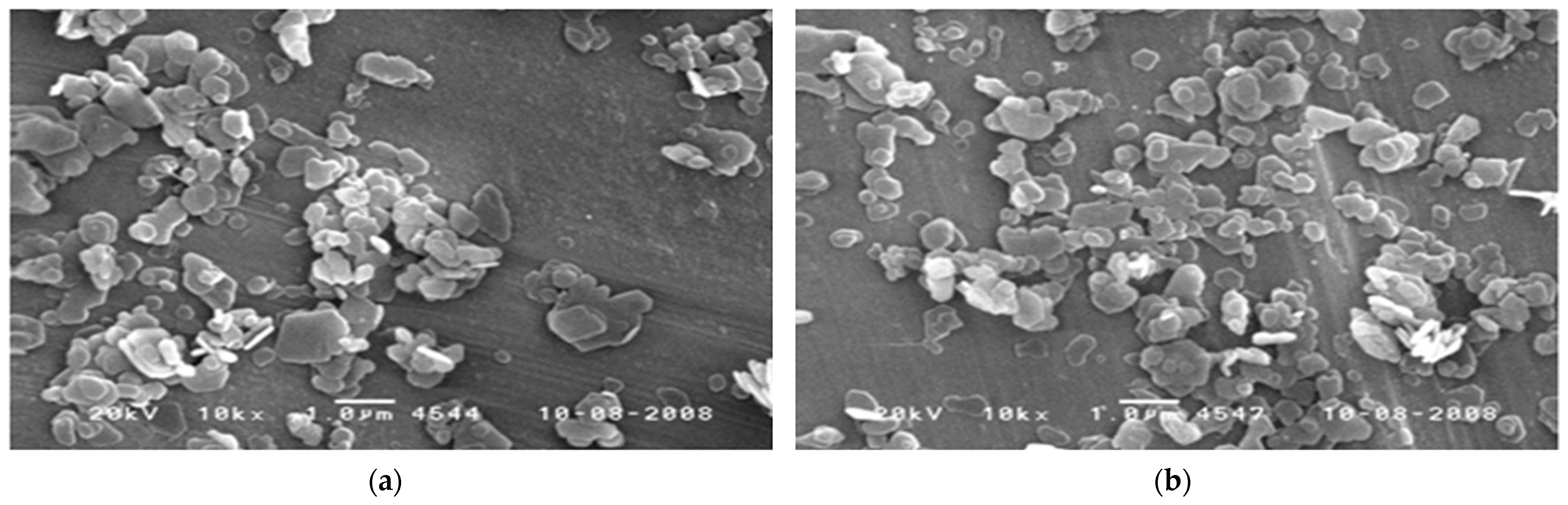 Polymers 14 03524 g002