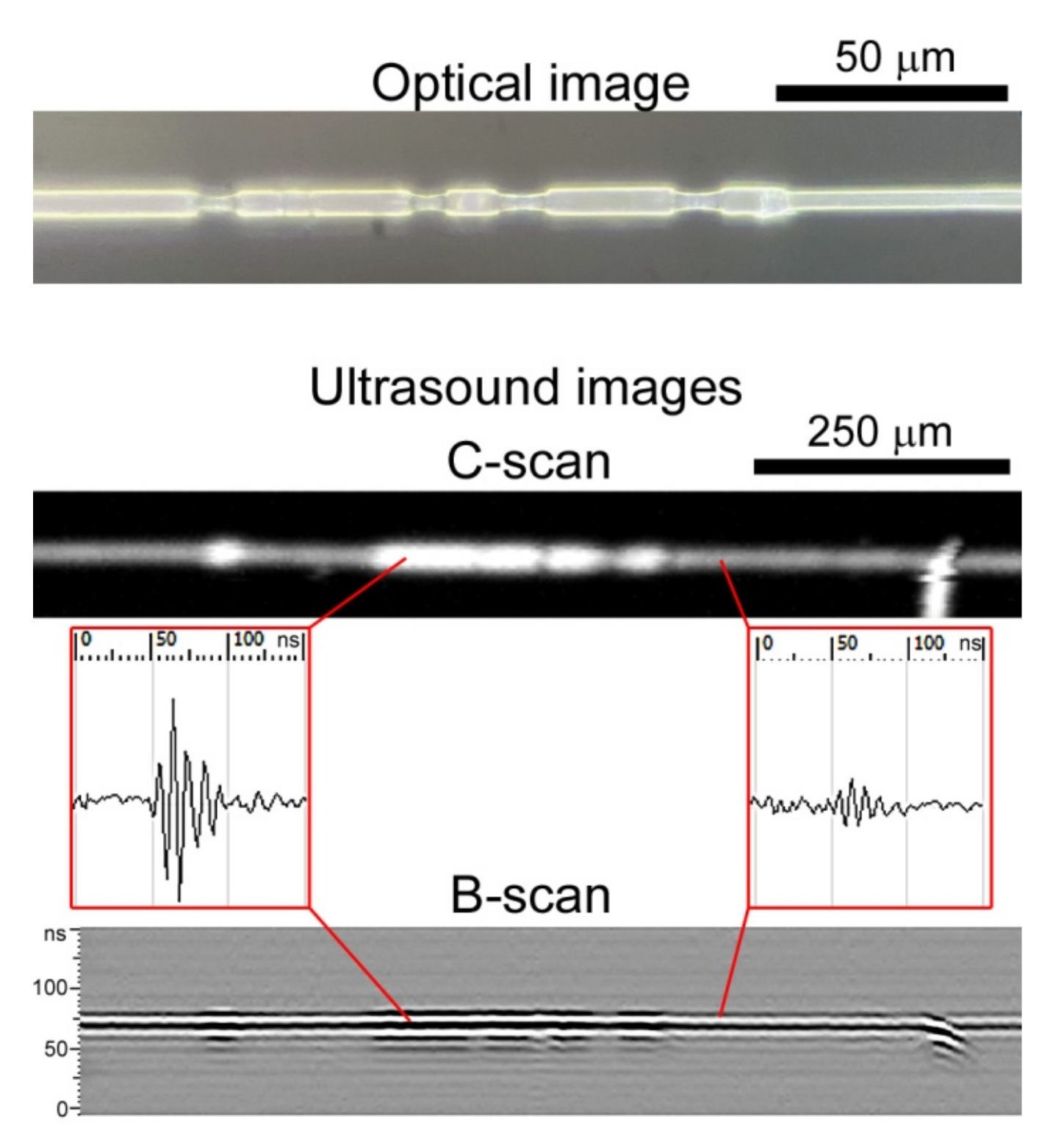 Polymers 14 03526 g003 550