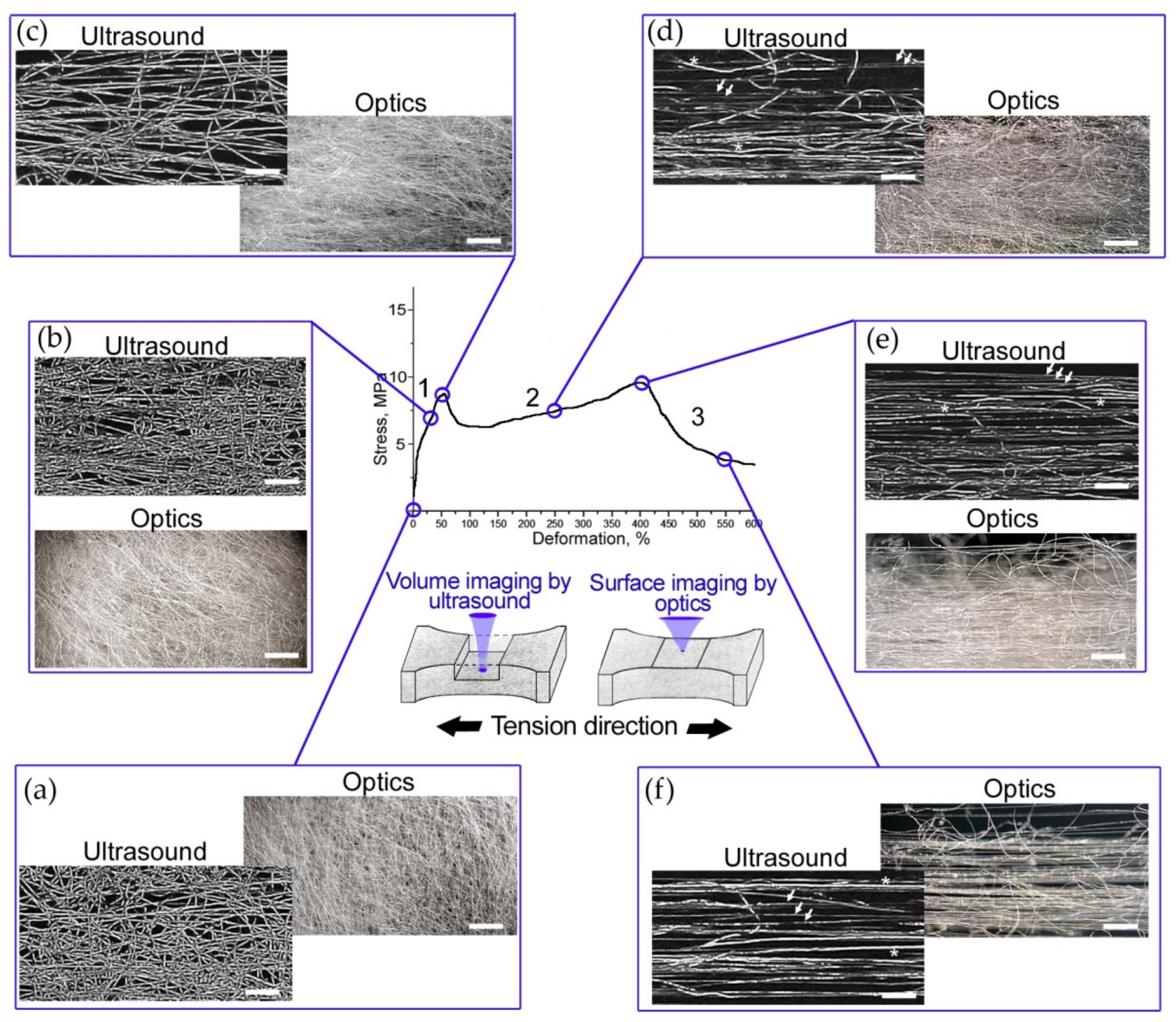 Polymers 14 03526 g004 550
