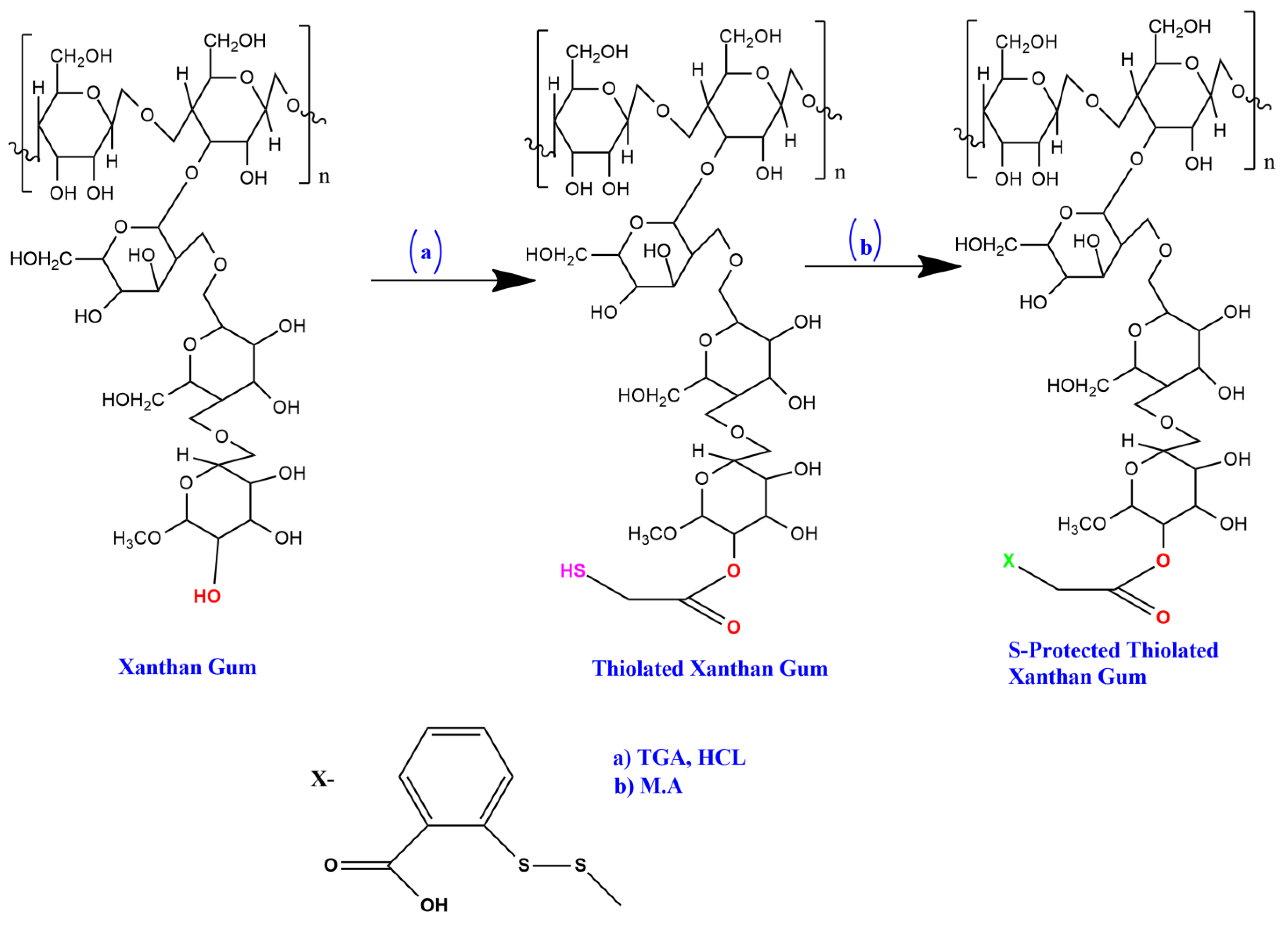 Polymers 14 03529 g001