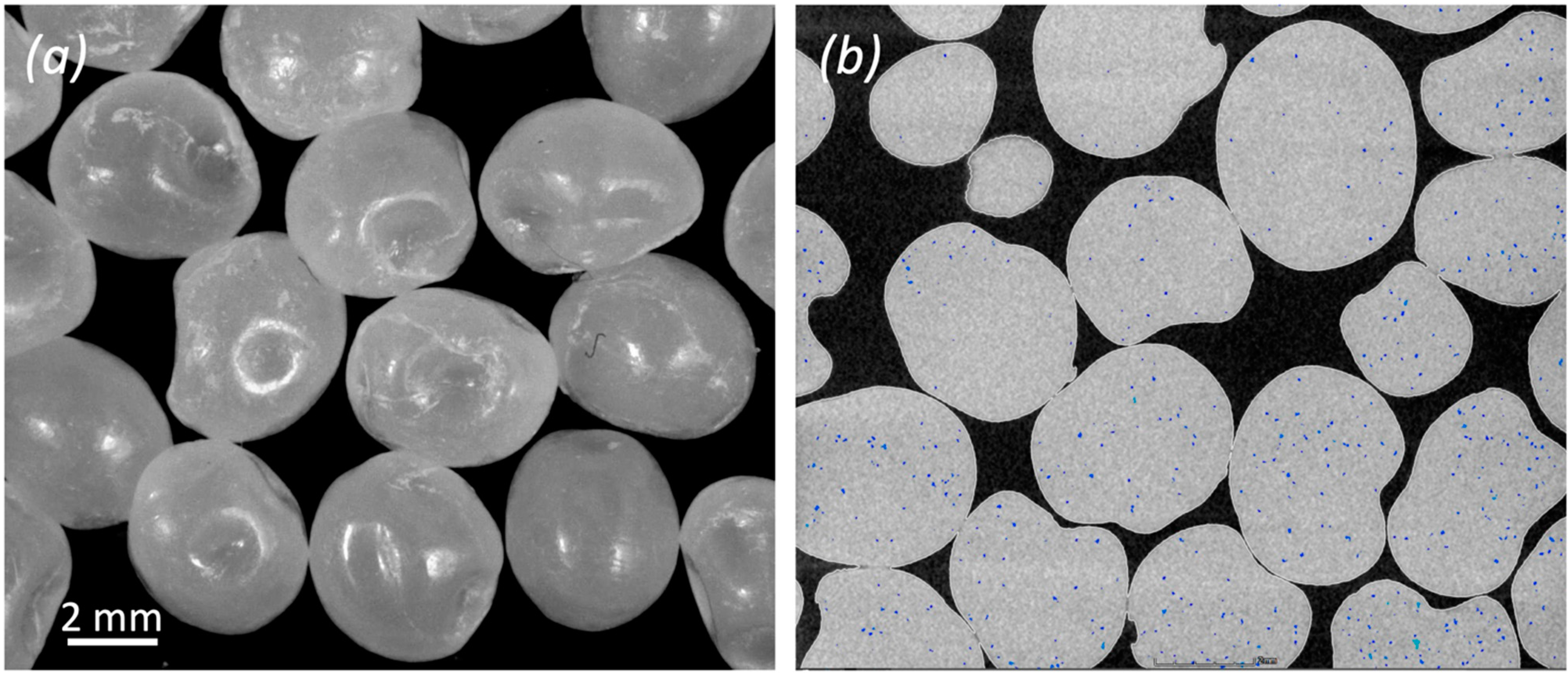 Polymers 14 03530 g001 550