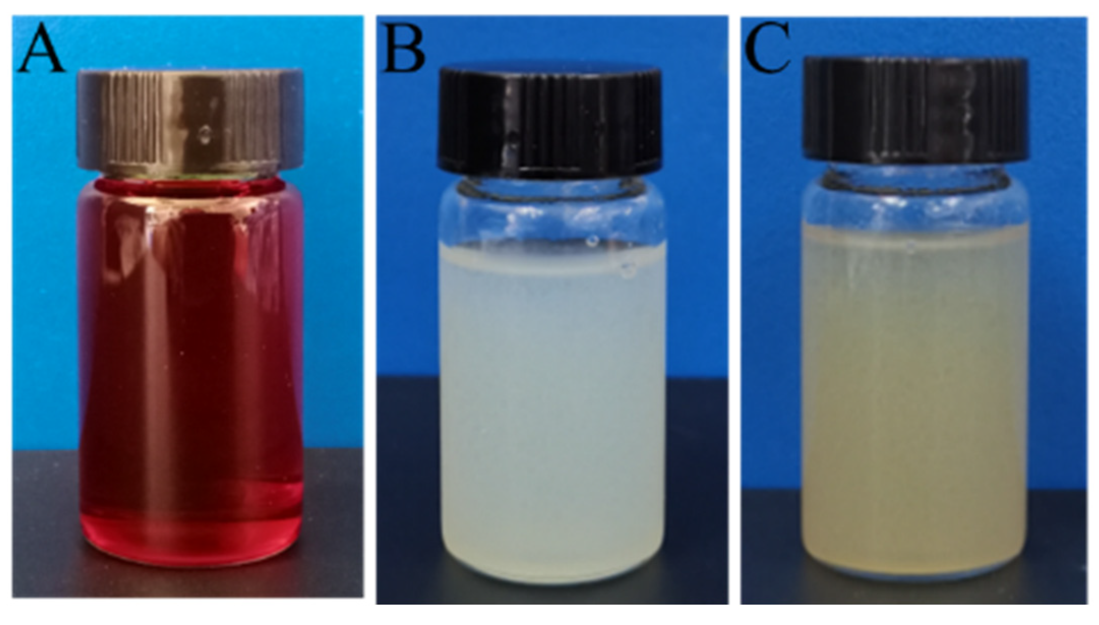 Polymers 14 03532 g002