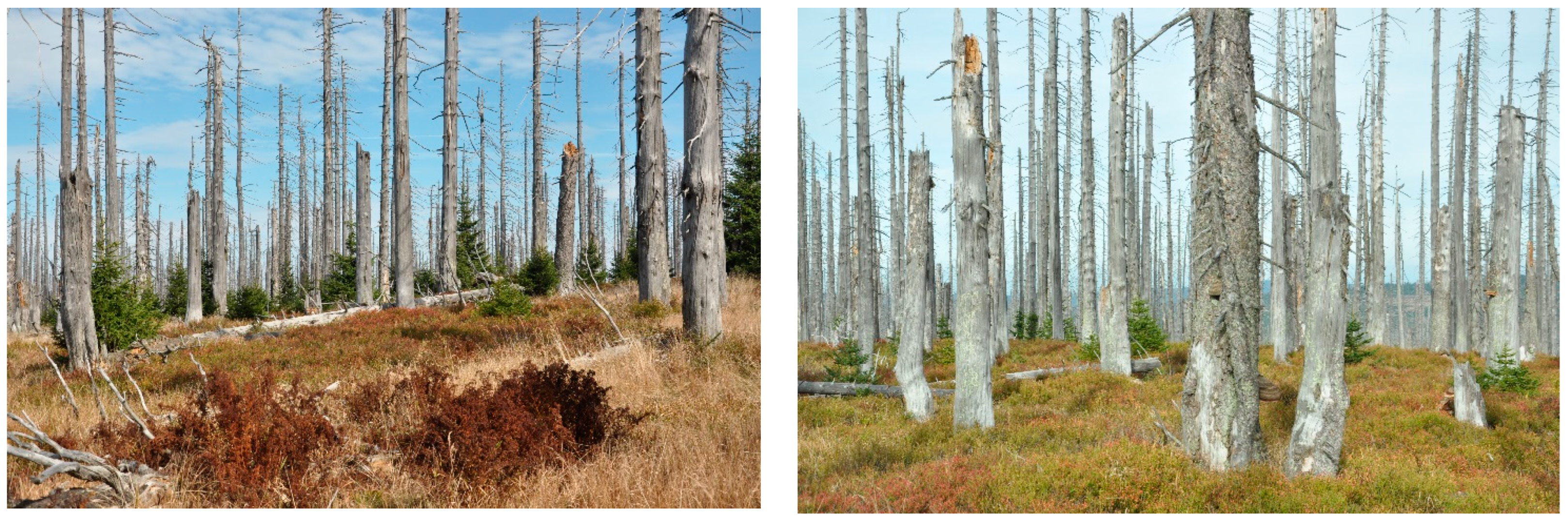 Polymers 14 03535 g001