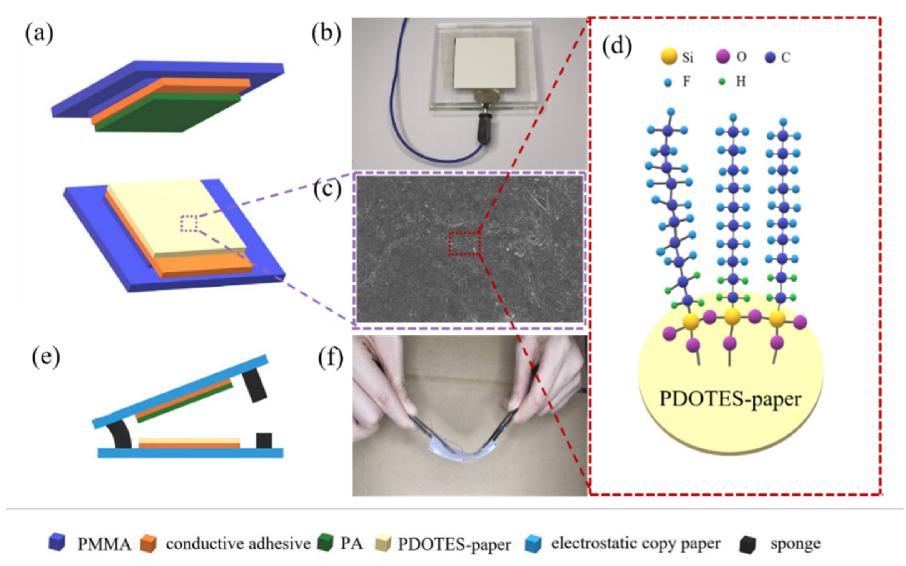 Polymers 14 03536 g002