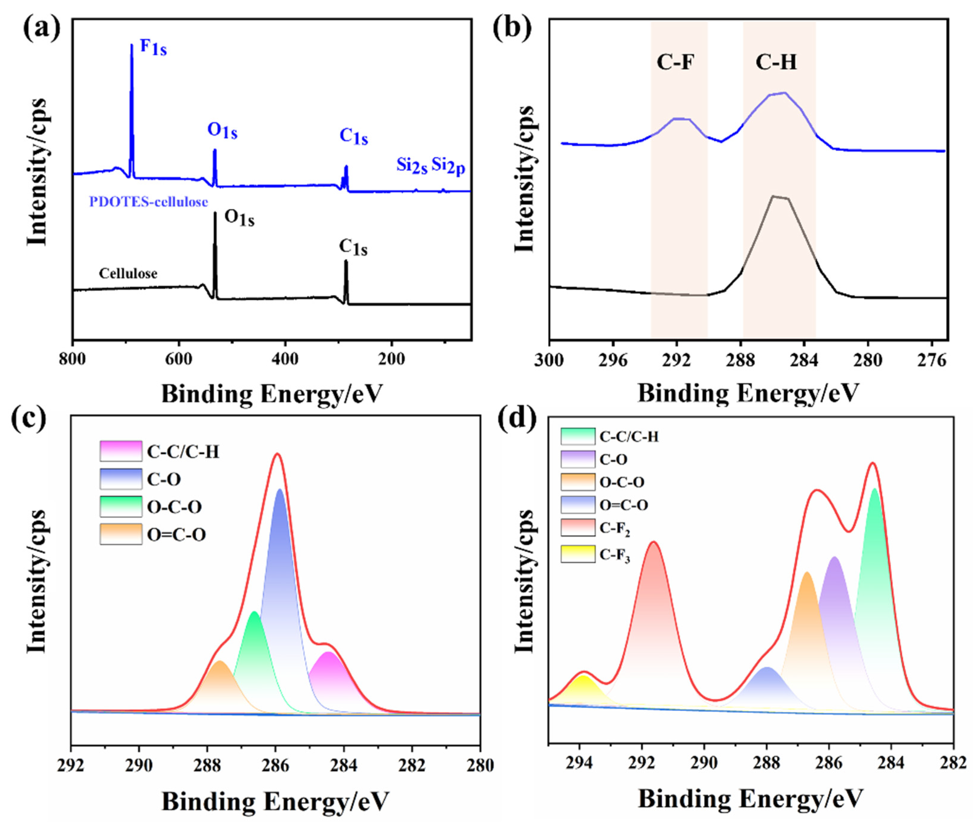 Polymers 14 03536 g005