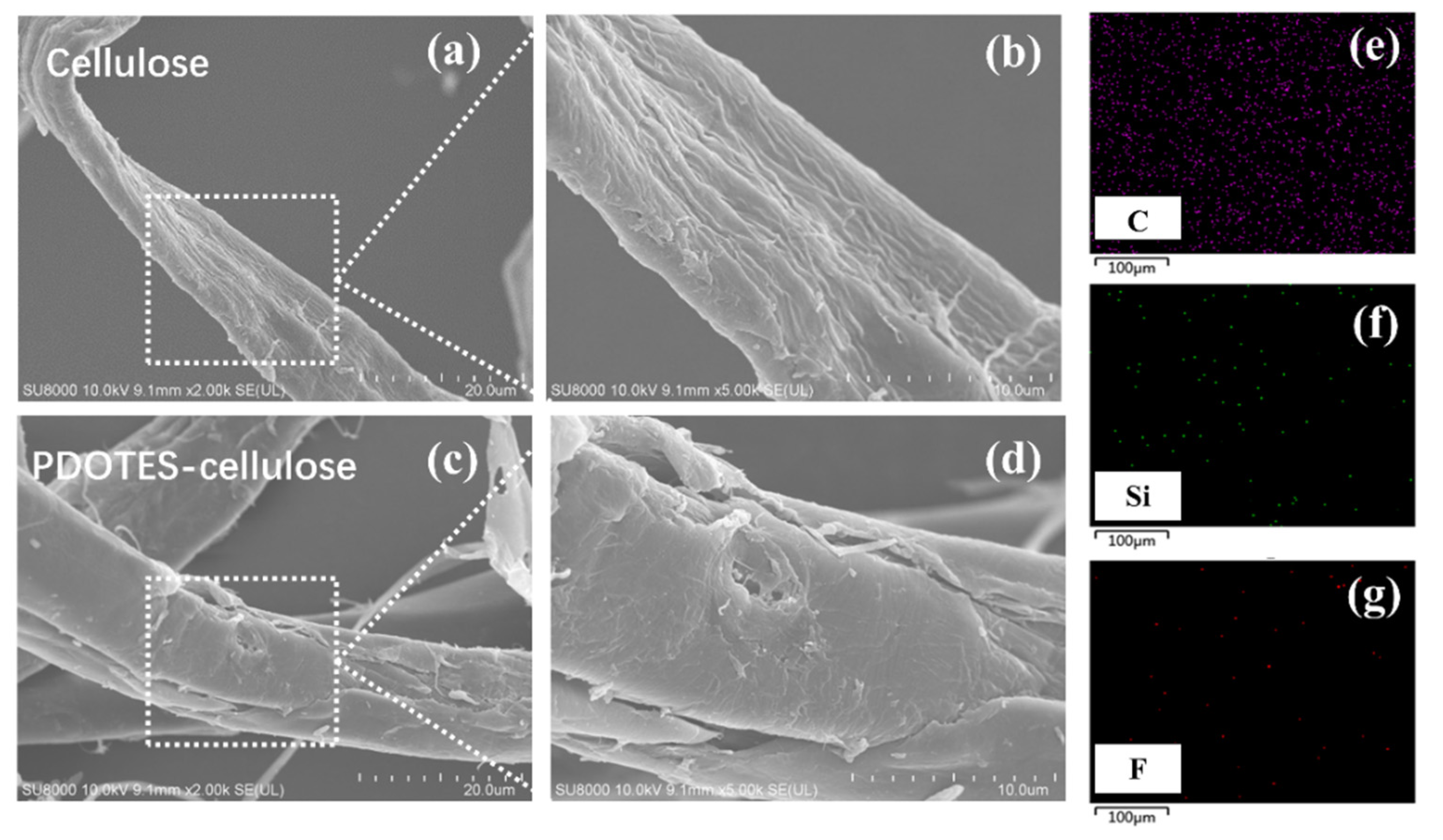Polymers 14 03536 g006