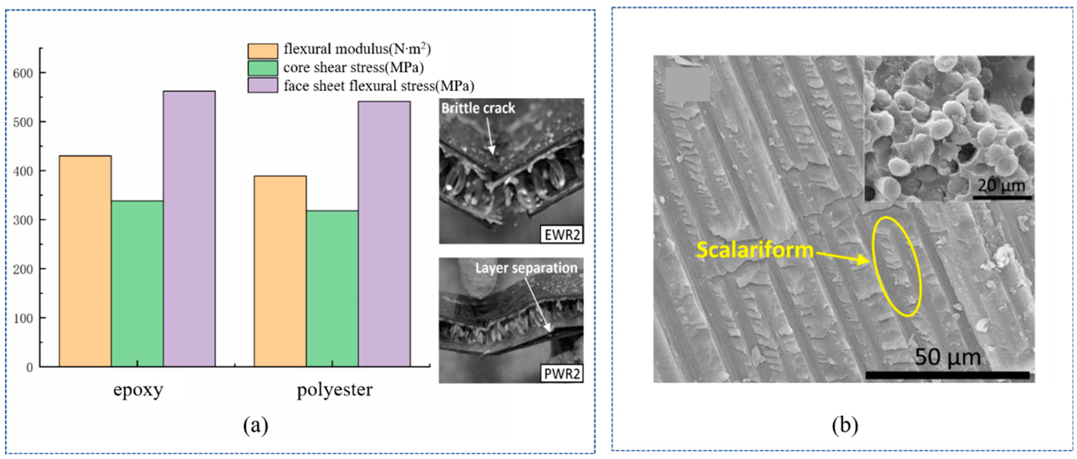 Polymers 14 03537 g005 550