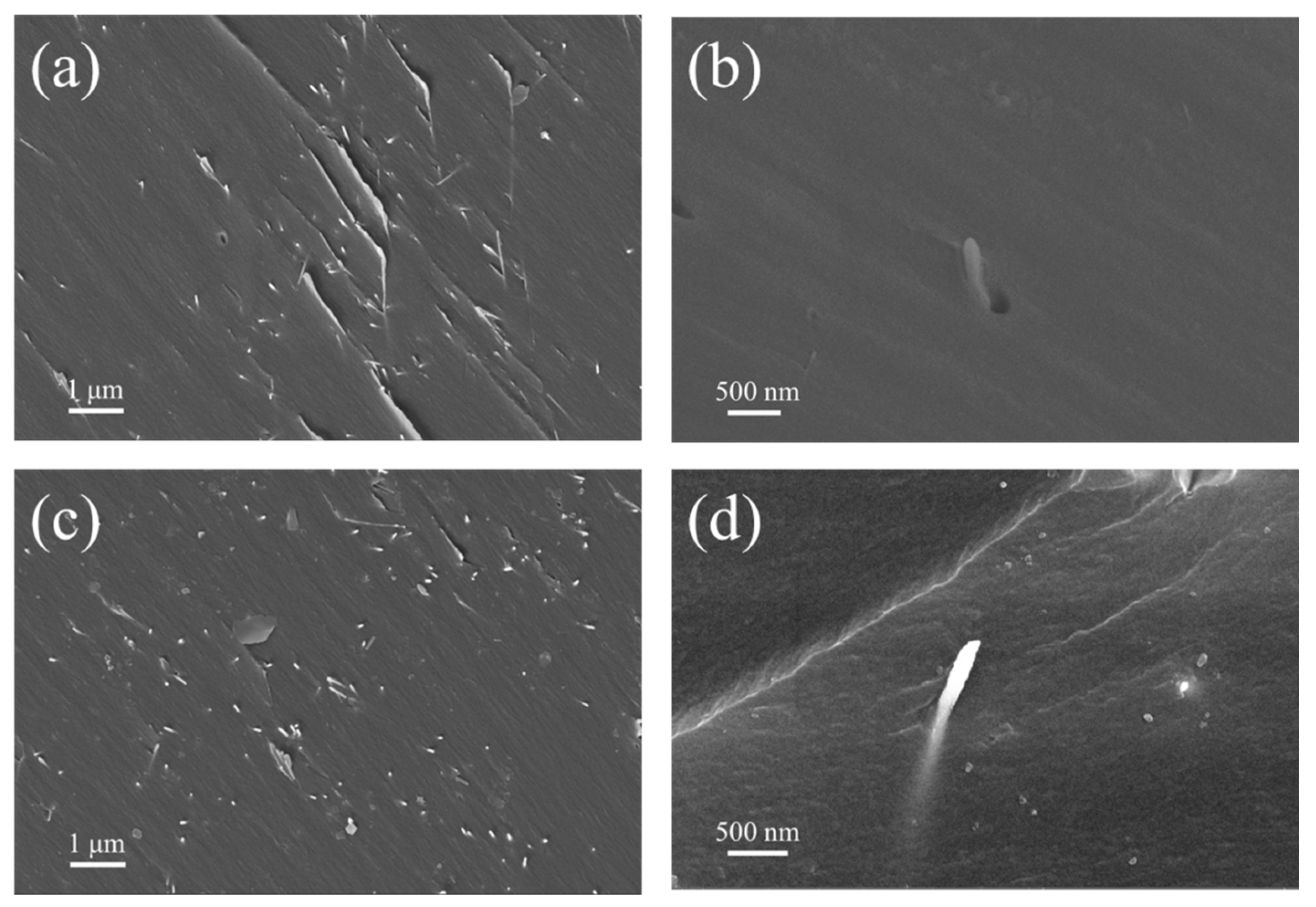 Polymers 14 03539 g006 550