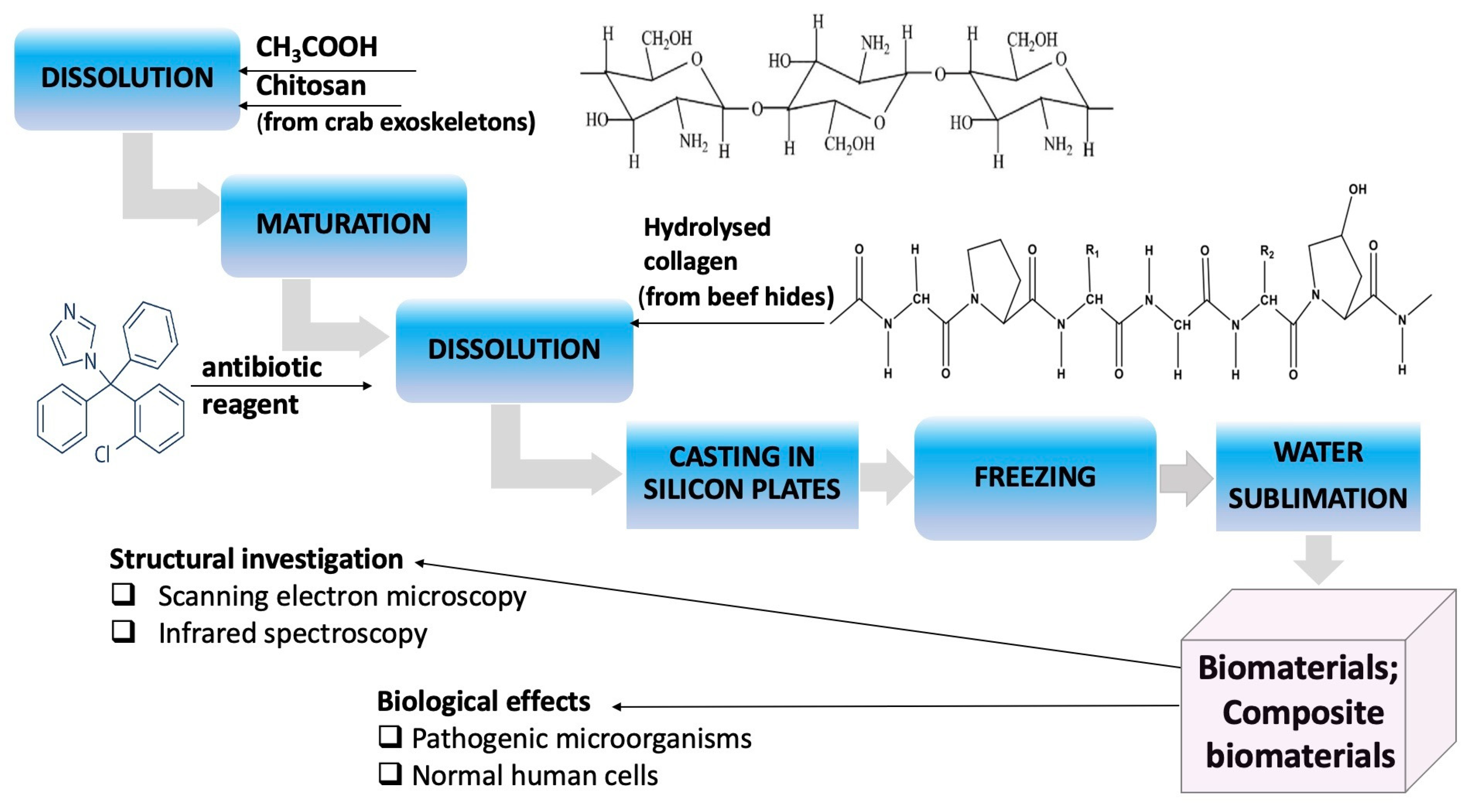 Polymers 14 03544 g002