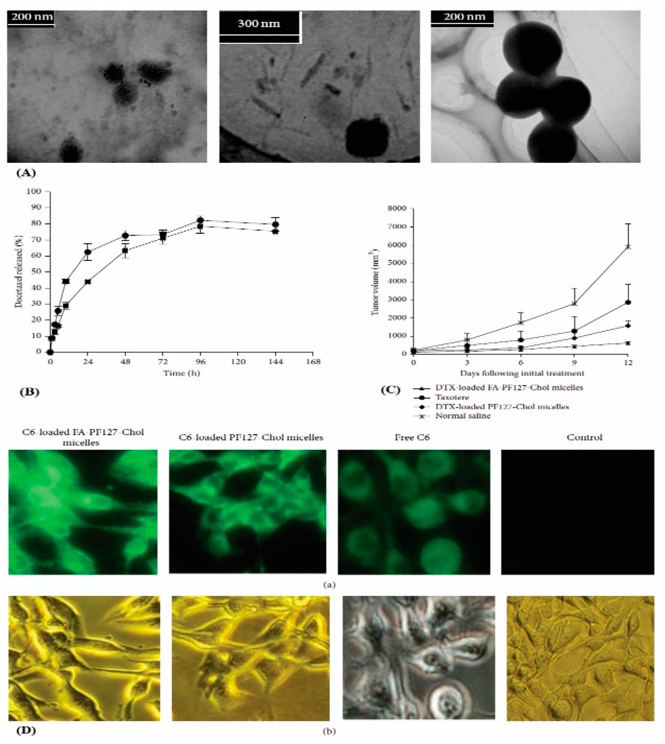 Polymers 14 03545 g002 550